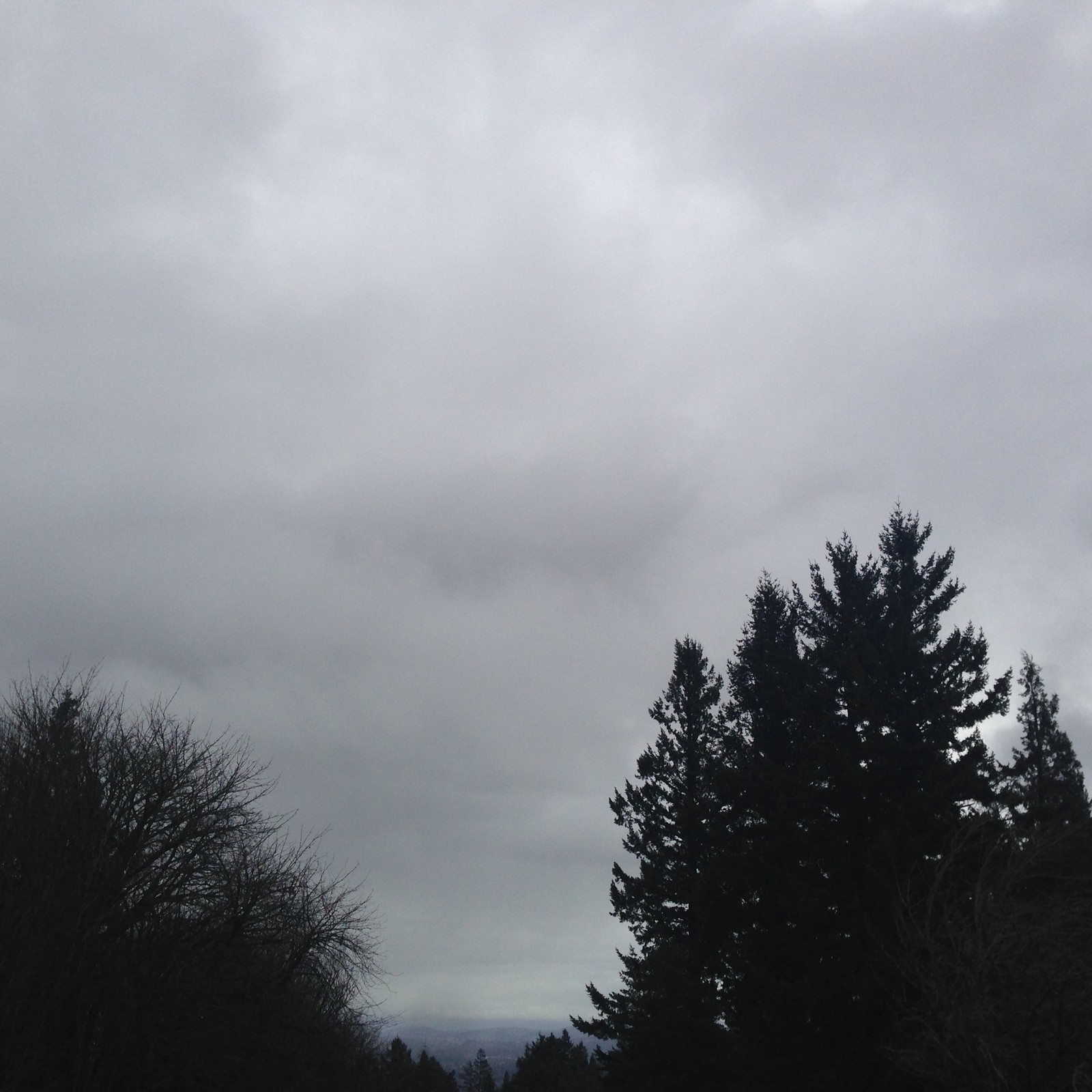 View from Council Crest toward Mt. Hood, which is NOT visible