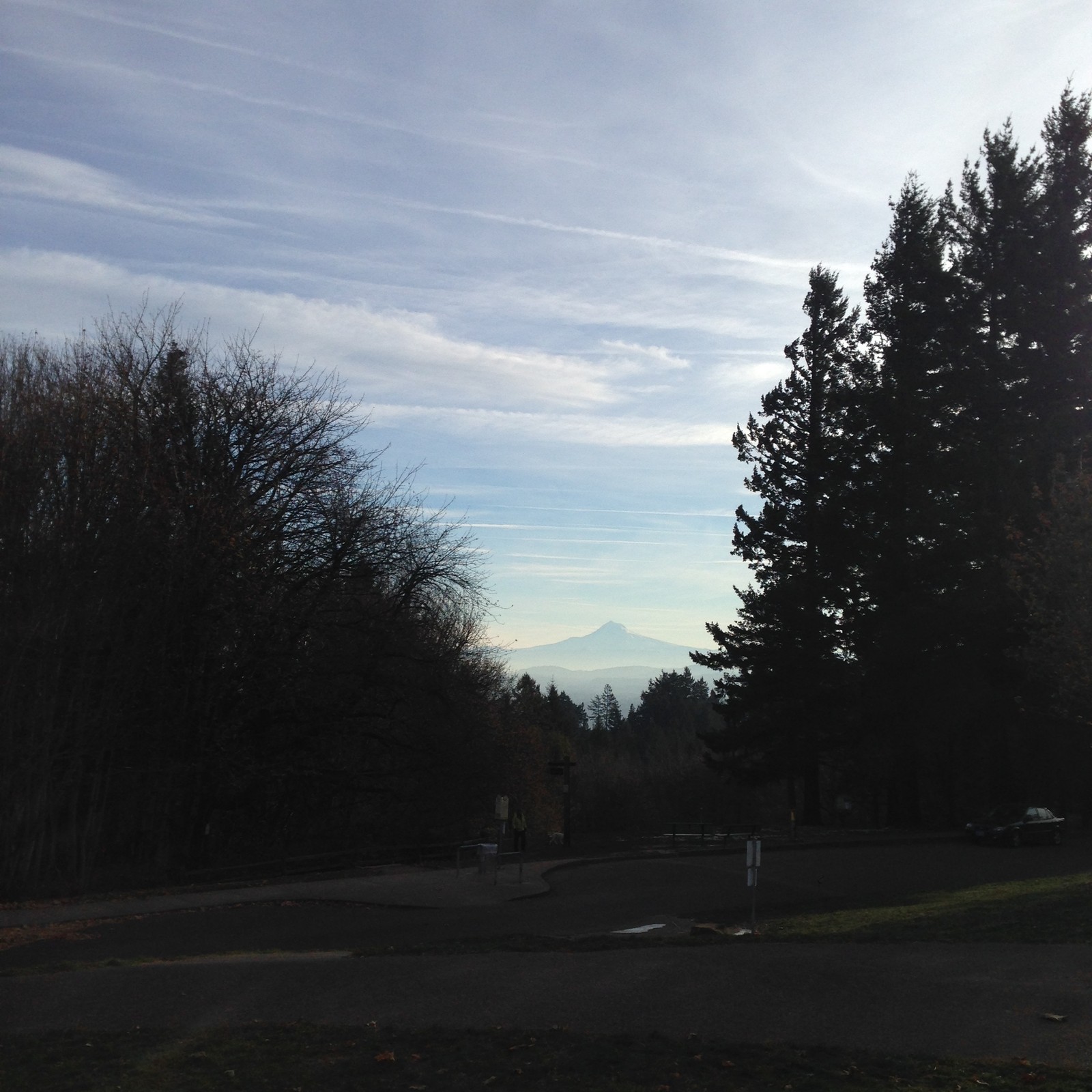 View from Council Crest toward Mt. Hood, which is visible