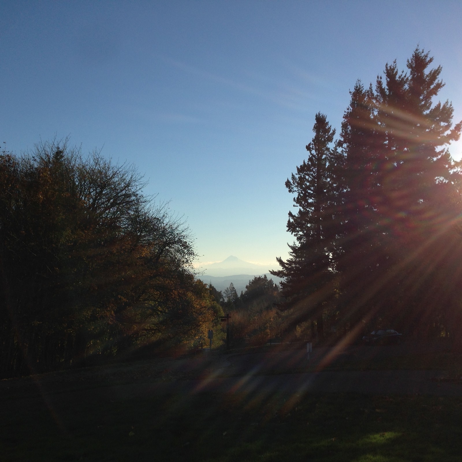 View from Council Crest toward Mt. Hood, which is visible