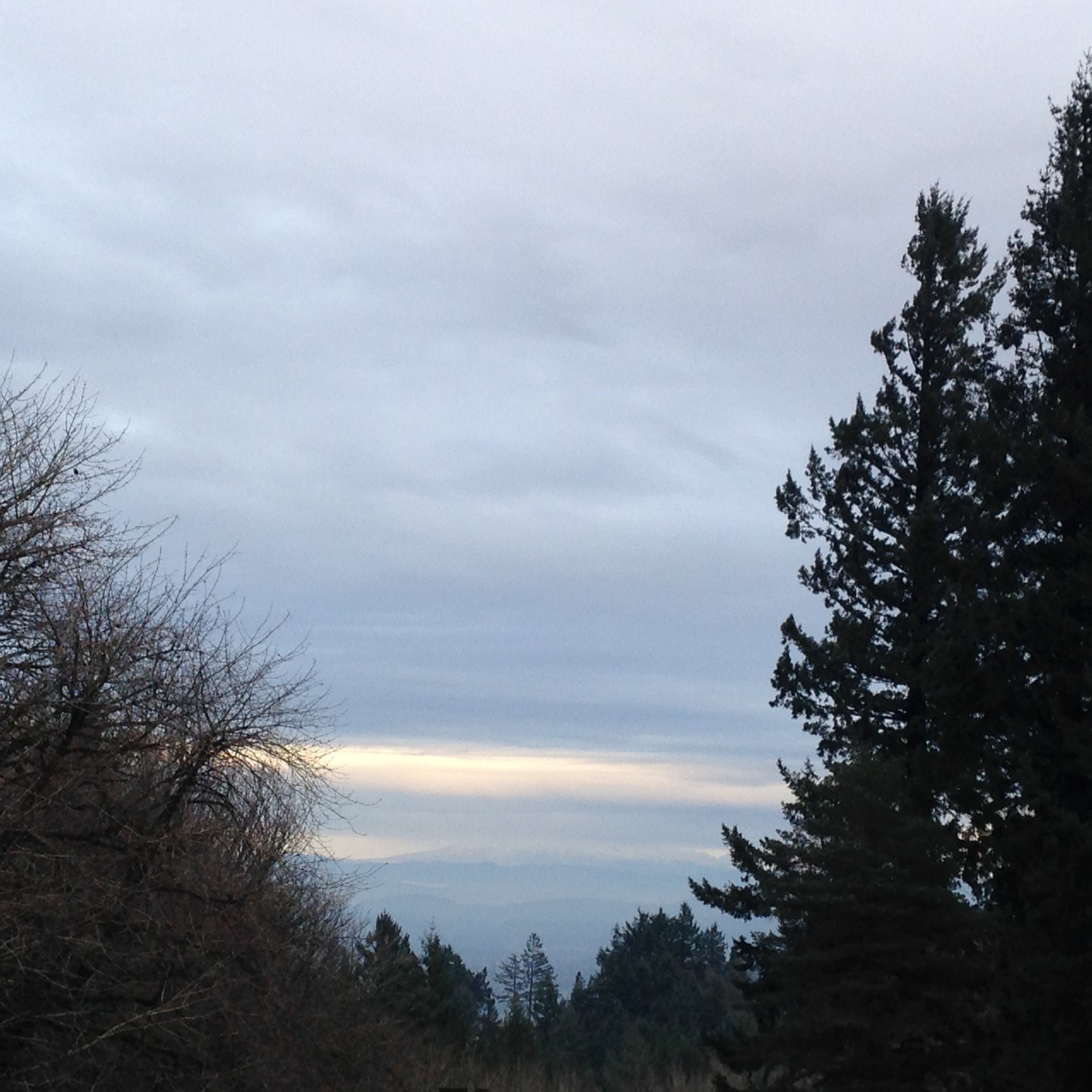 View from Council Crest toward Mt. Hood, which is NOT visible