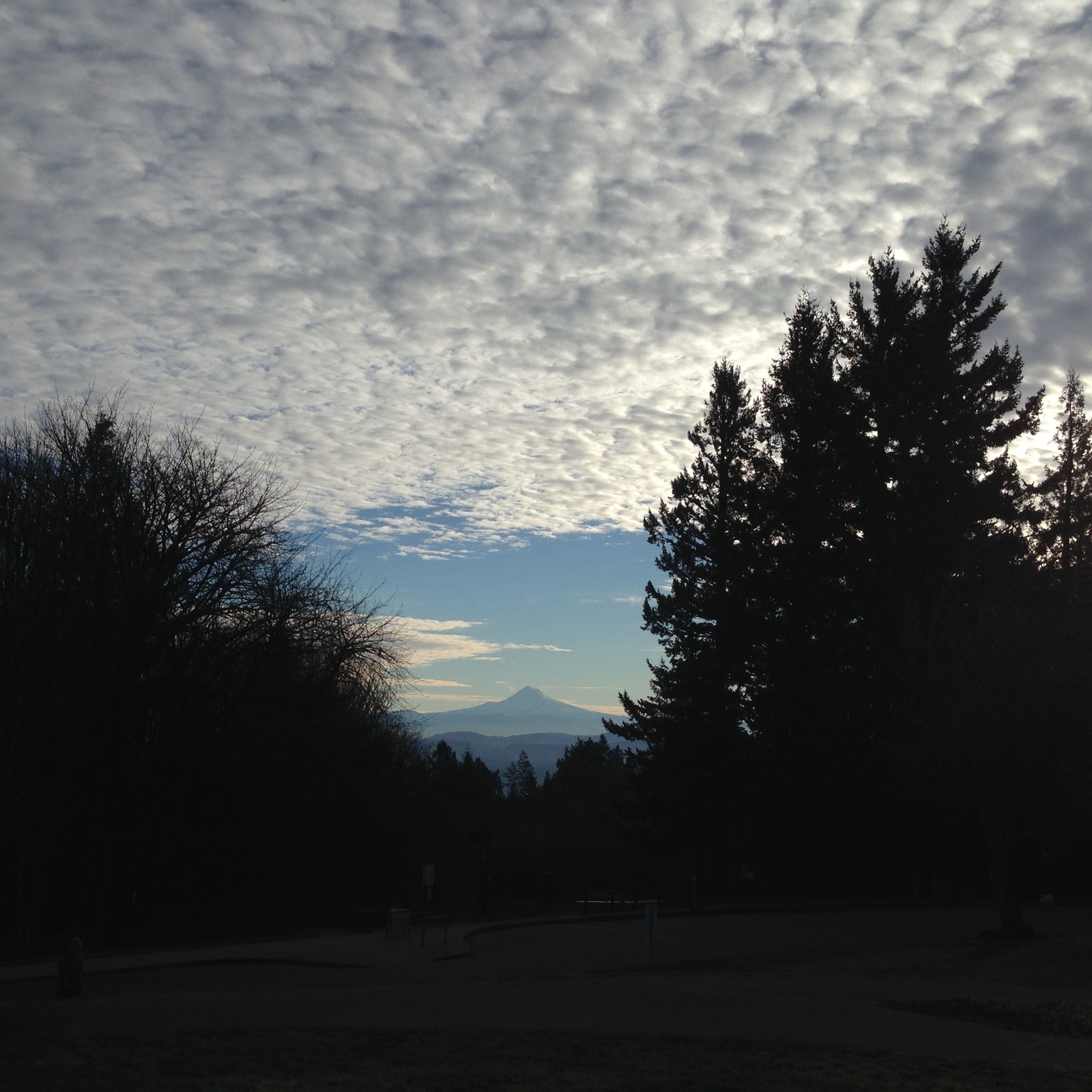 View from Council Crest toward Mt. Hood, which is visible