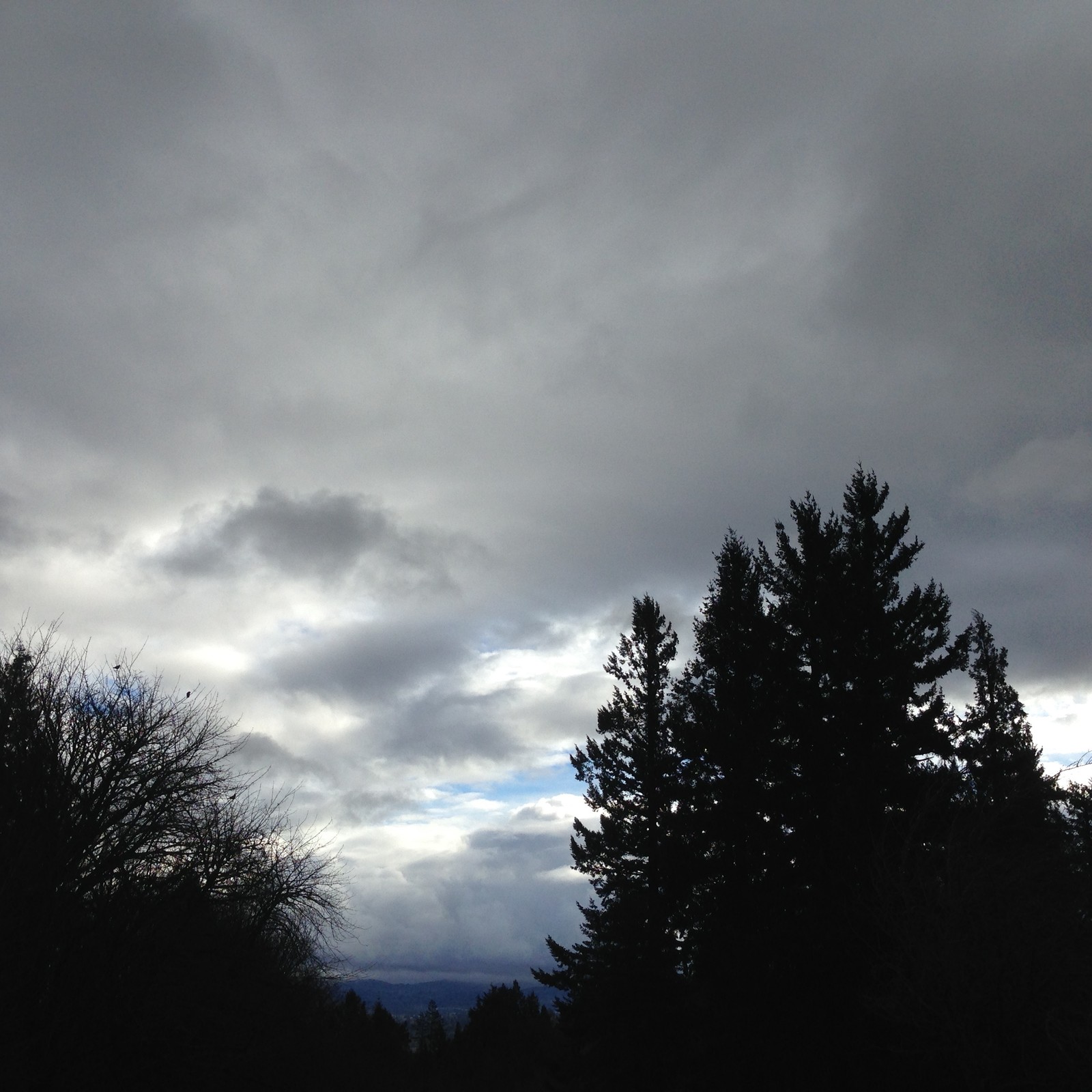 View from Council Crest toward Mt. Hood, which is NOT visible