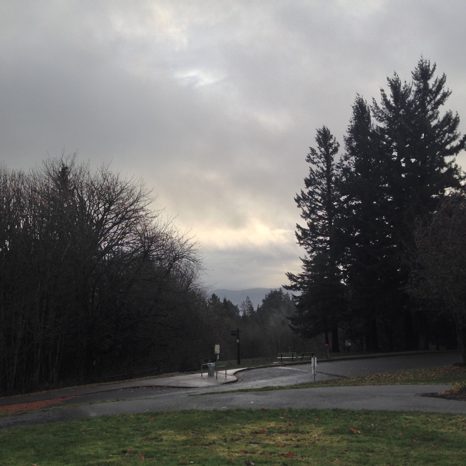 View from Council Crest toward Mt. Hood, which is NOT visible