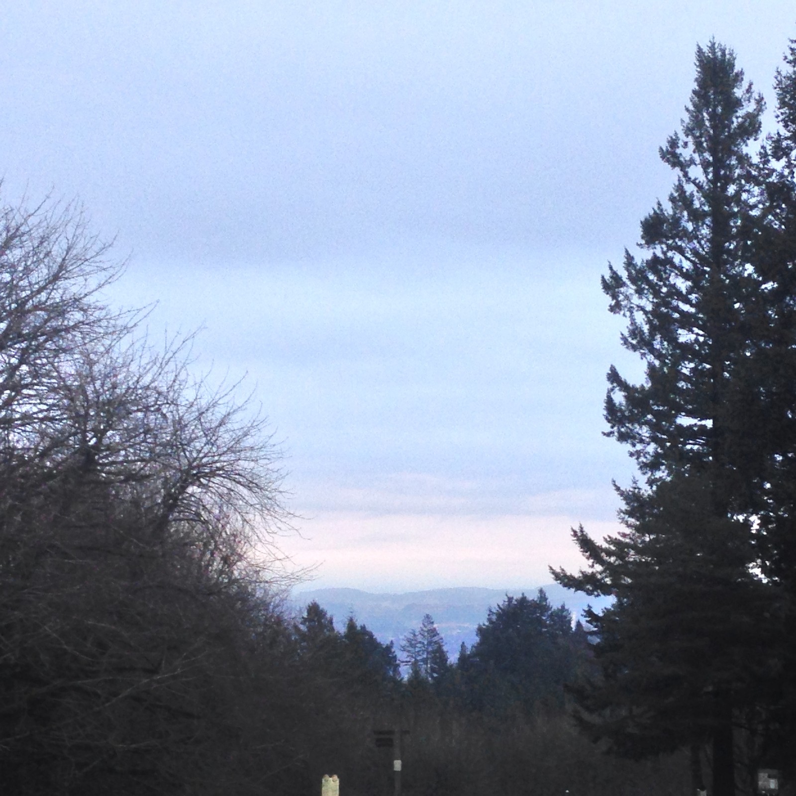 View from Council Crest toward Mt. Hood, which is NOT visible