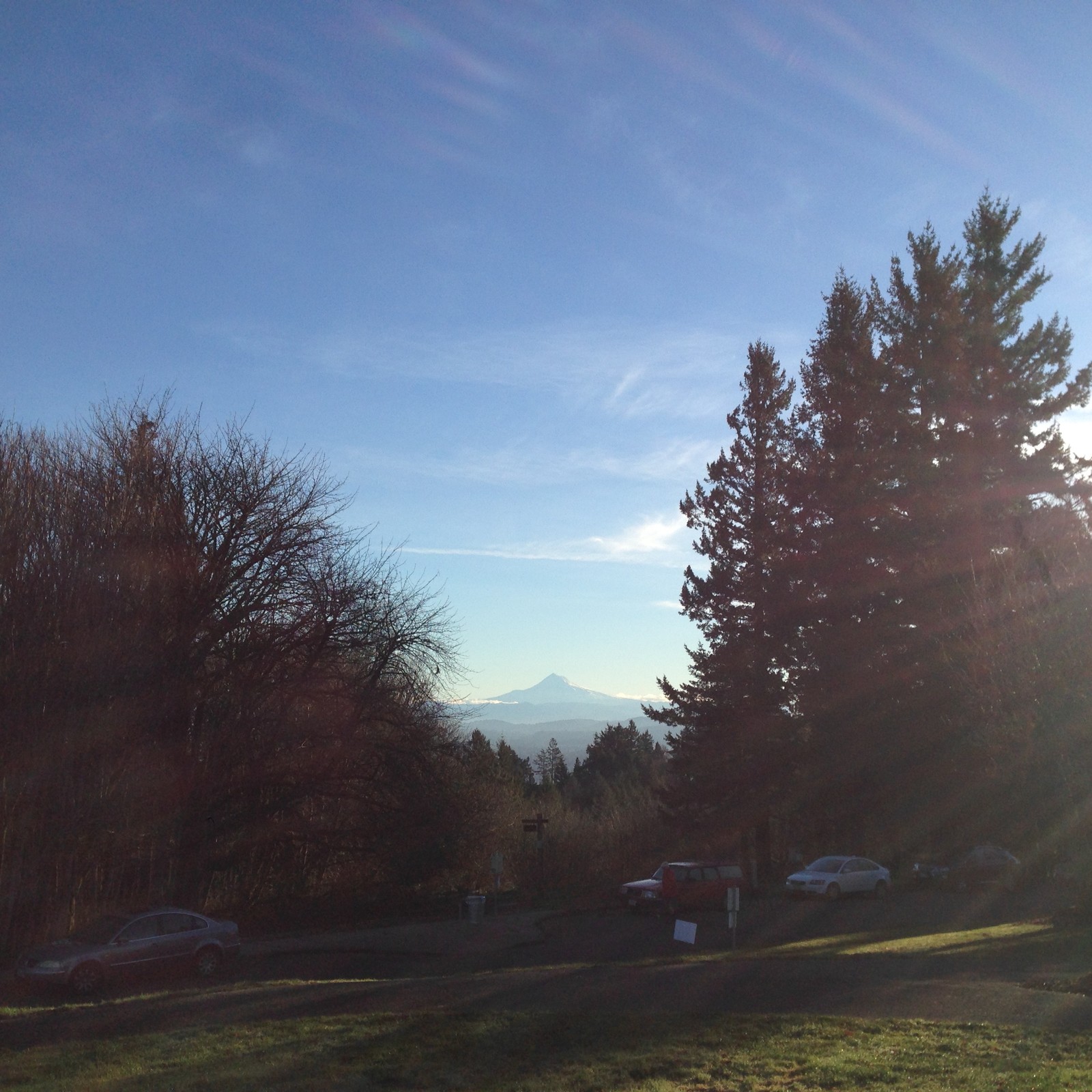View from Council Crest toward Mt. Hood, which is visible