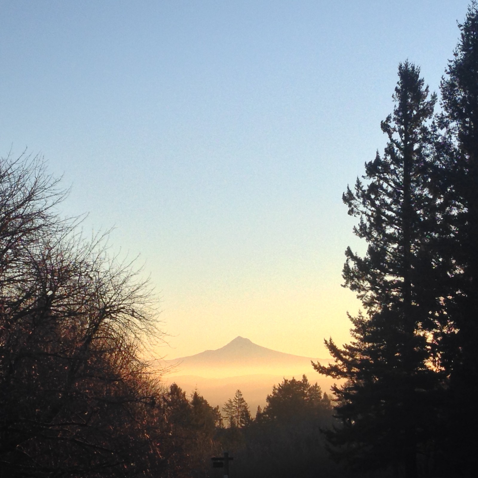View from Council Crest toward Mt. Hood, which is visible