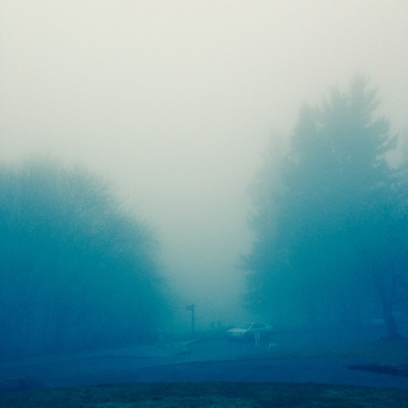 View from Council Crest toward Mt. Hood, which is NOT visible