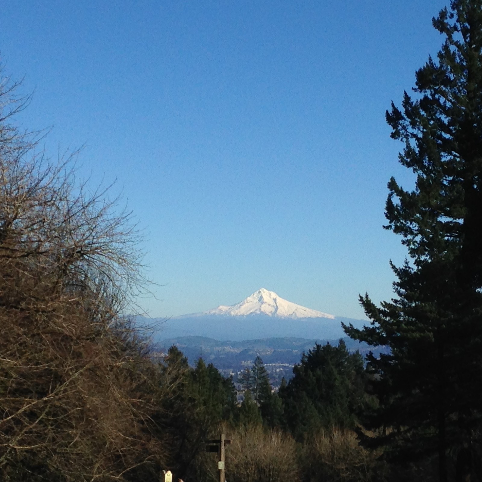 View from Council Crest toward Mt. Hood, which is visible