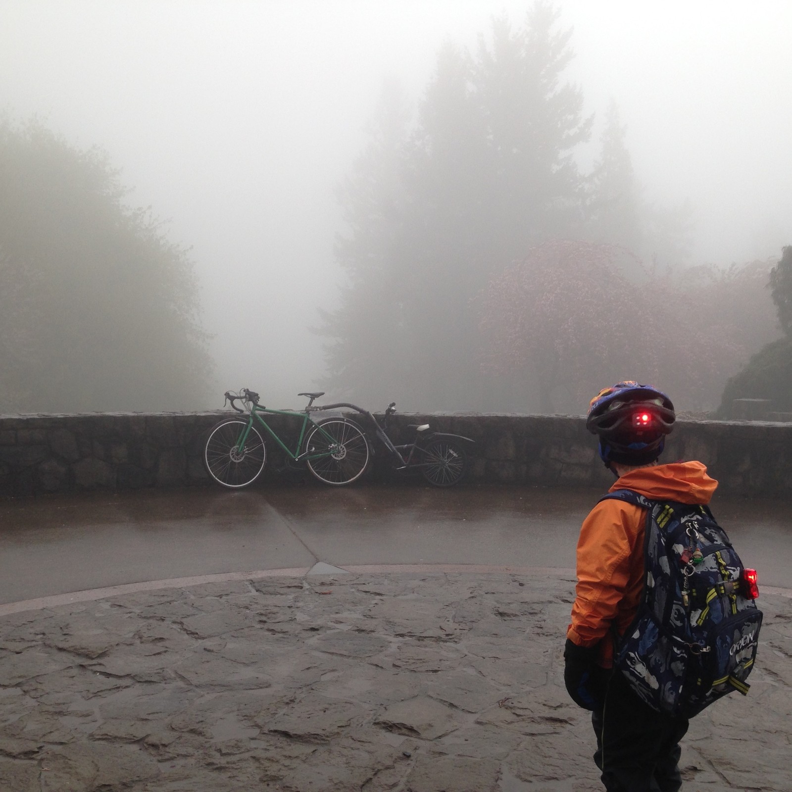 View from Council Crest toward Mt. Hood, which is NOT visible