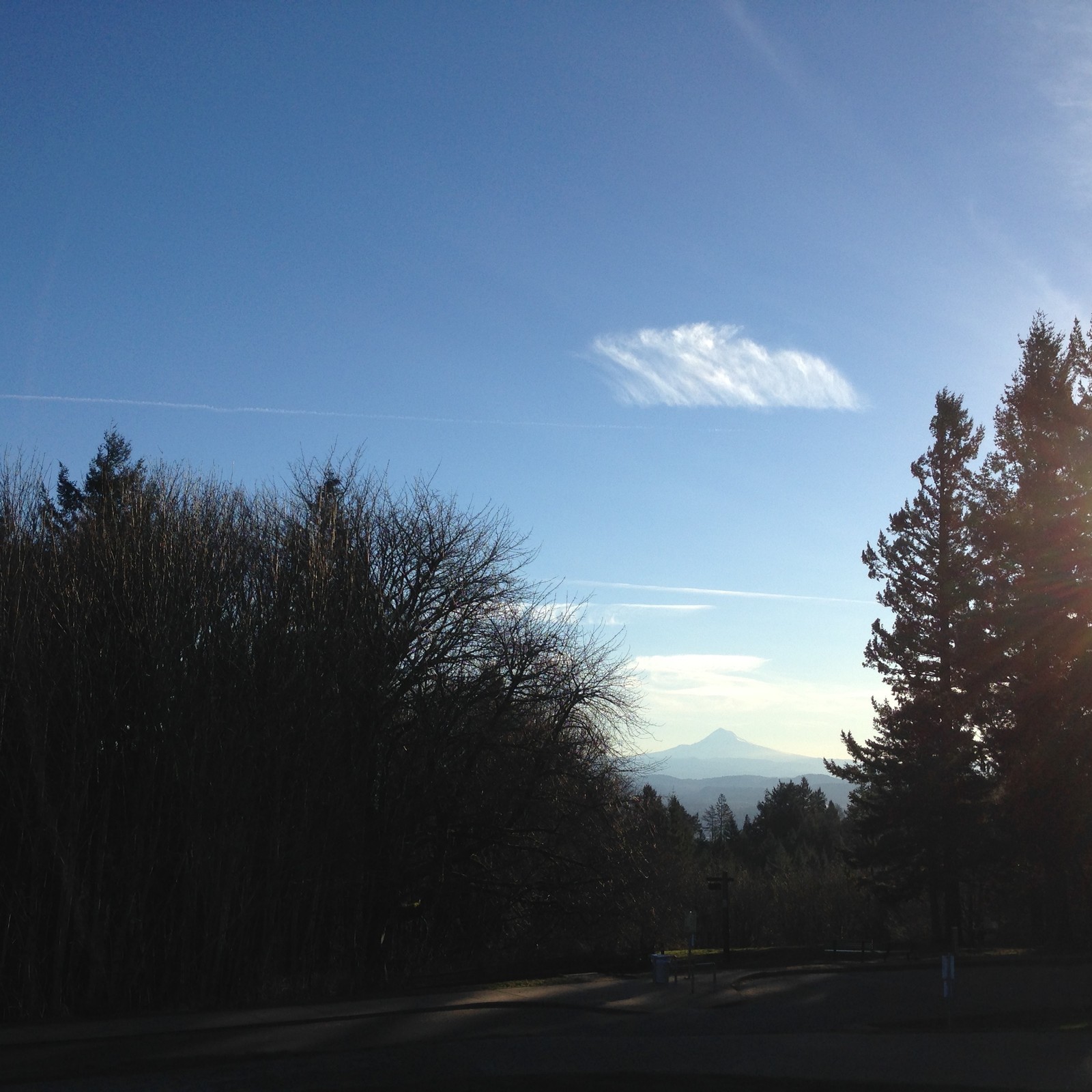 View from Council Crest toward Mt. Hood, which is visible