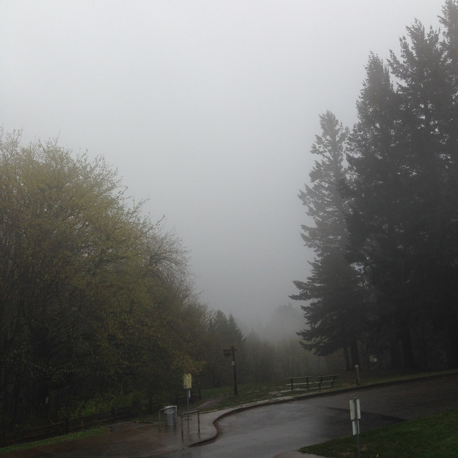 View from Council Crest toward Mt. Hood, which is NOT visible