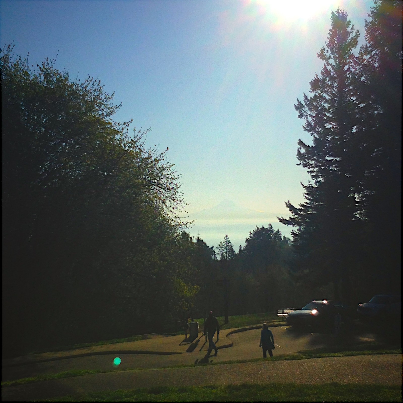 View from Council Crest toward Mt. Hood, which is visible