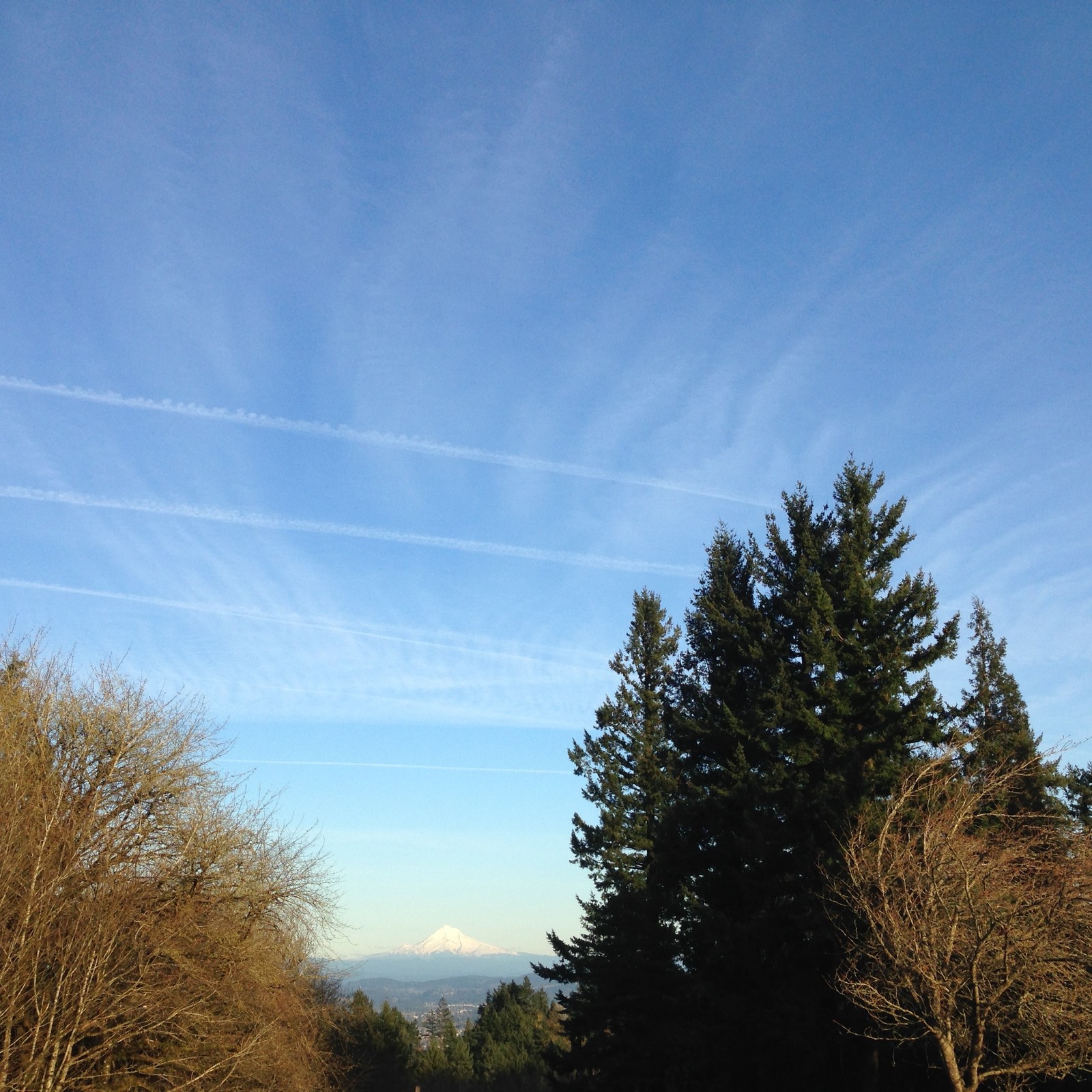 View from Council Crest toward Mt. Hood, which is visible