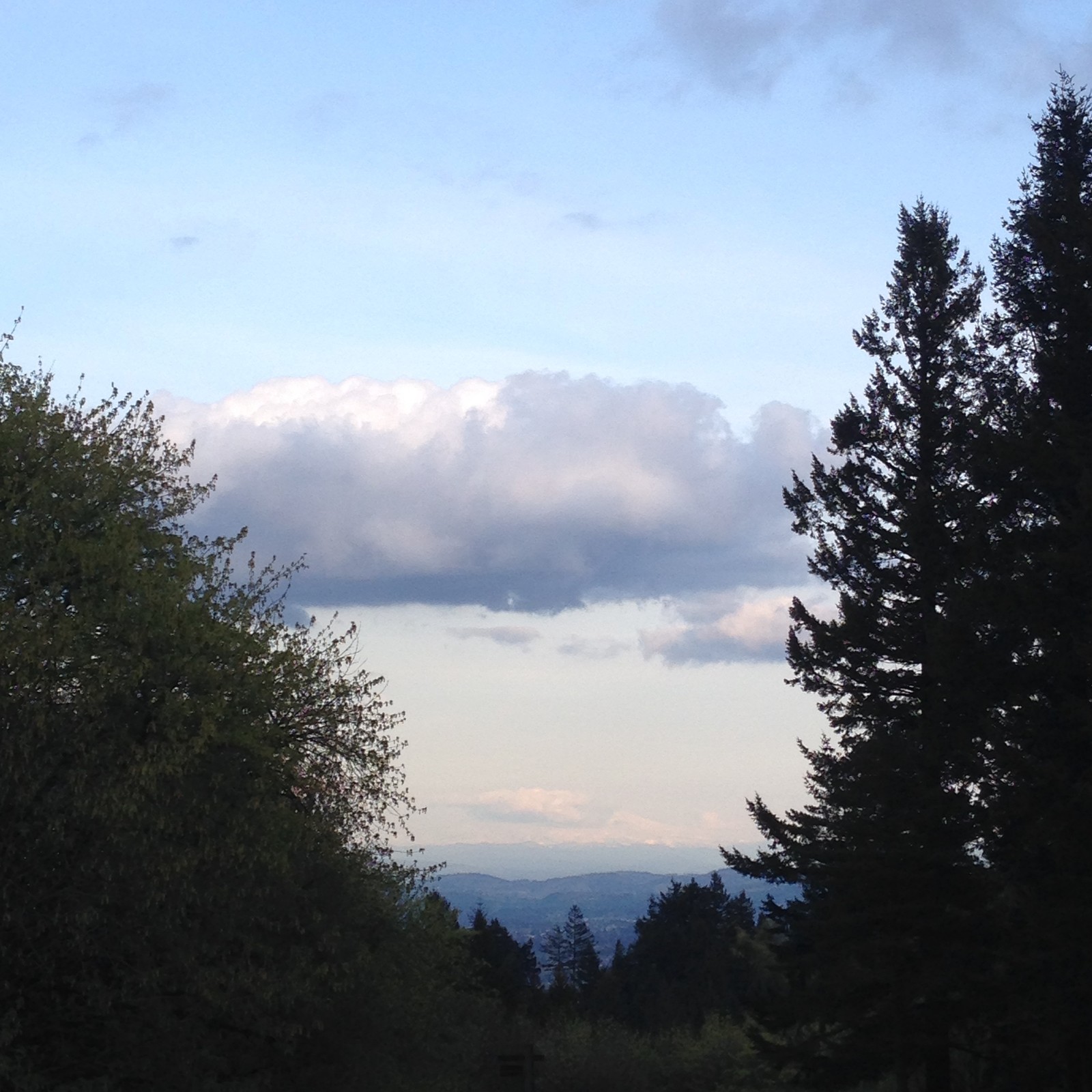 View from Council Crest toward Mt. Hood, which is NOT visible