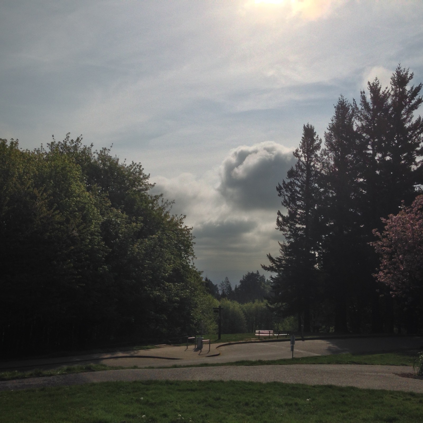 View from Council Crest toward Mt. Hood, which is NOT visible