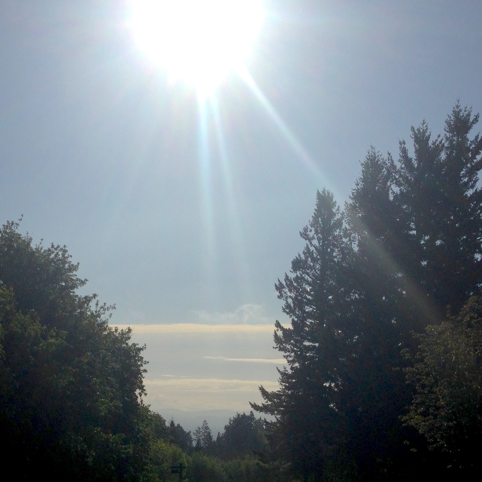 View from Council Crest toward Mt. Hood, which is NOT visible