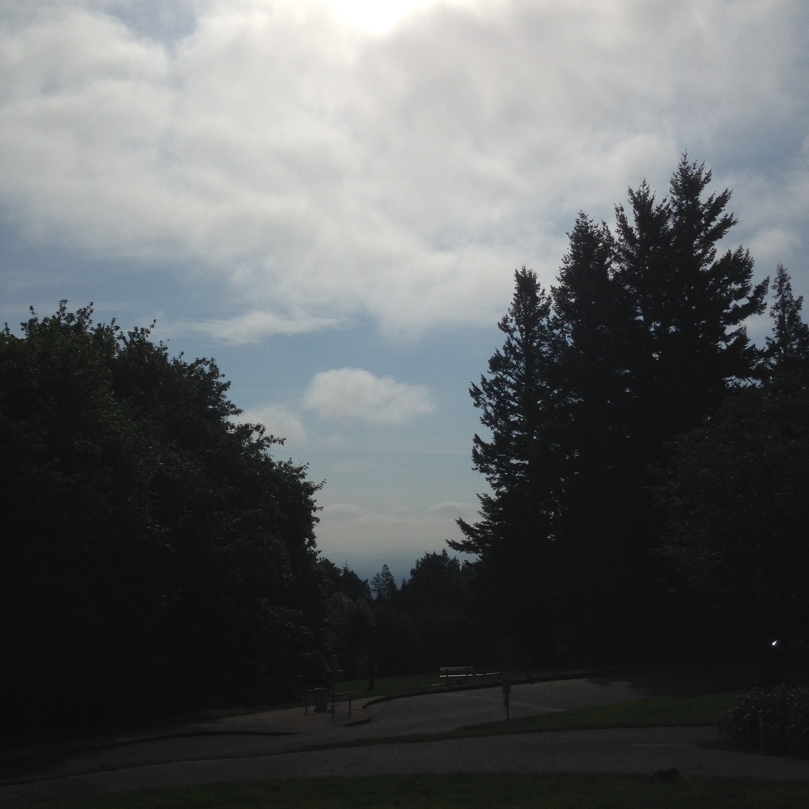 View from Council Crest toward Mt. Hood, which is NOT visible