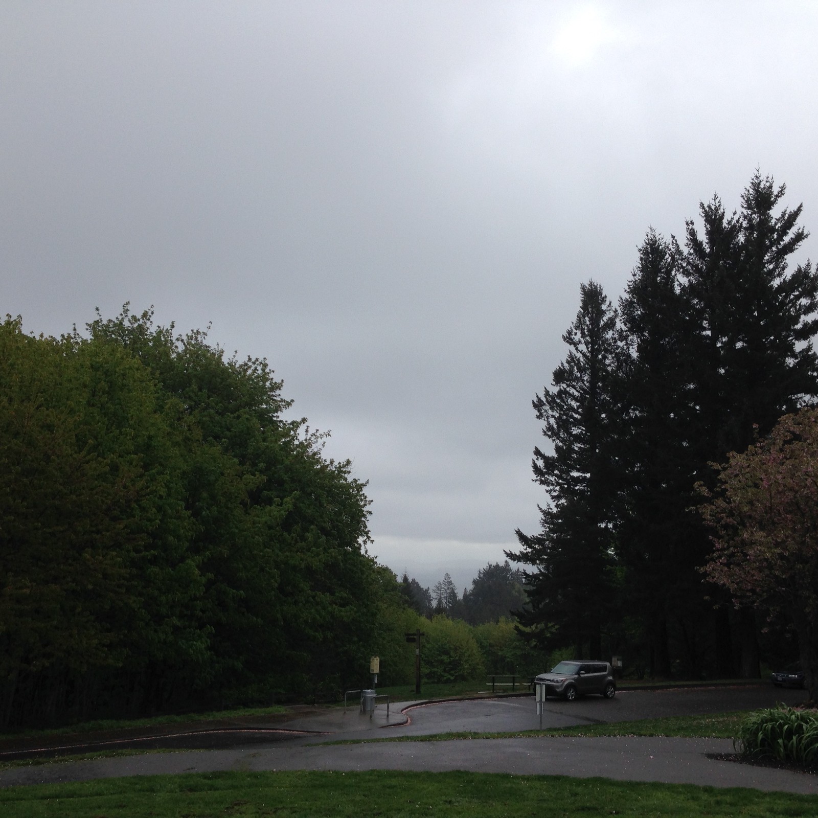 View from Council Crest toward Mt. Hood, which is NOT visible