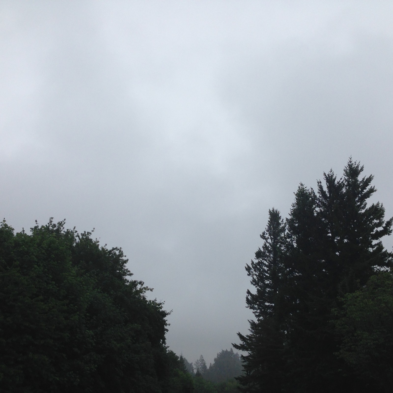 View from Council Crest toward Mt. Hood, which is NOT visible