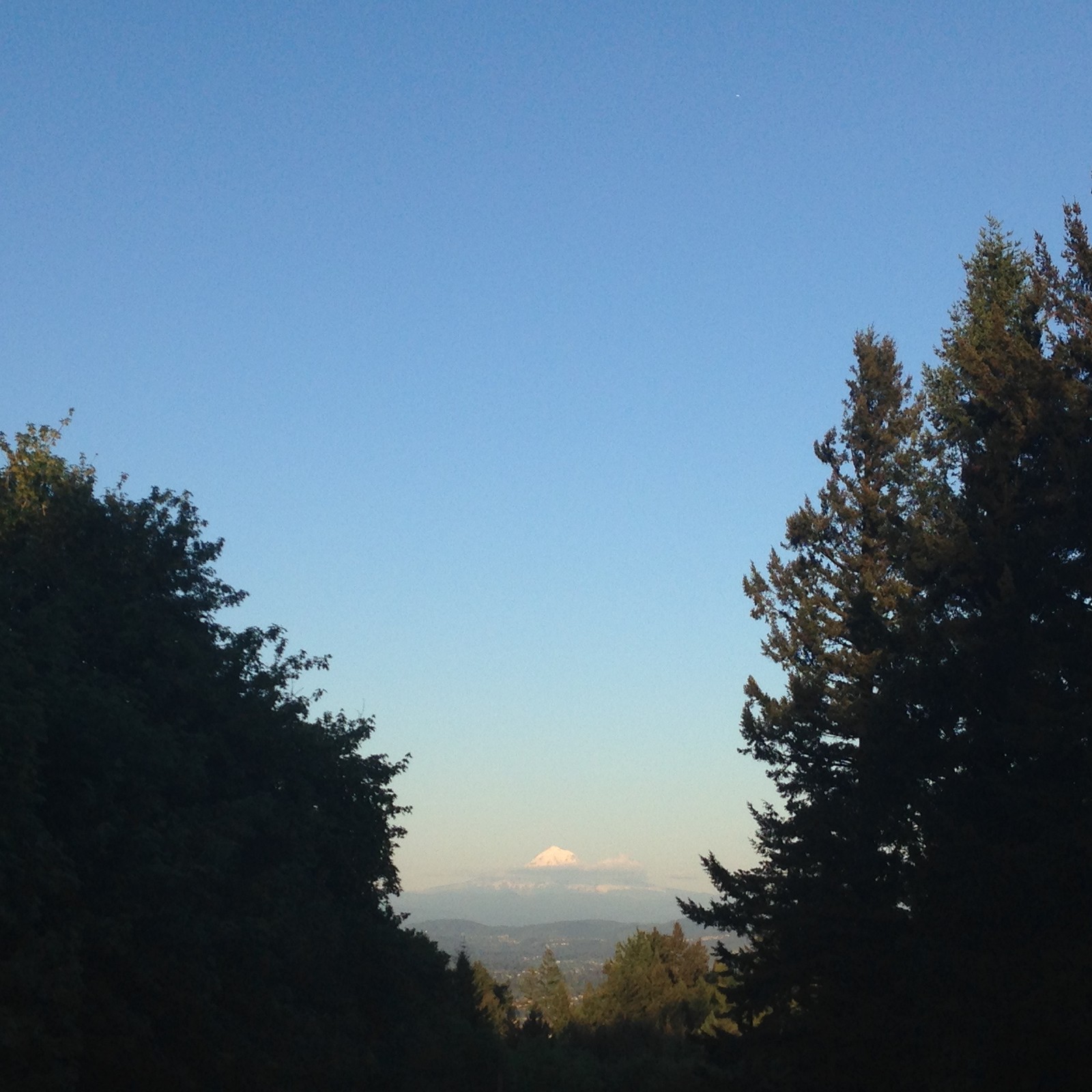 View from Council Crest toward Mt. Hood, which is visible