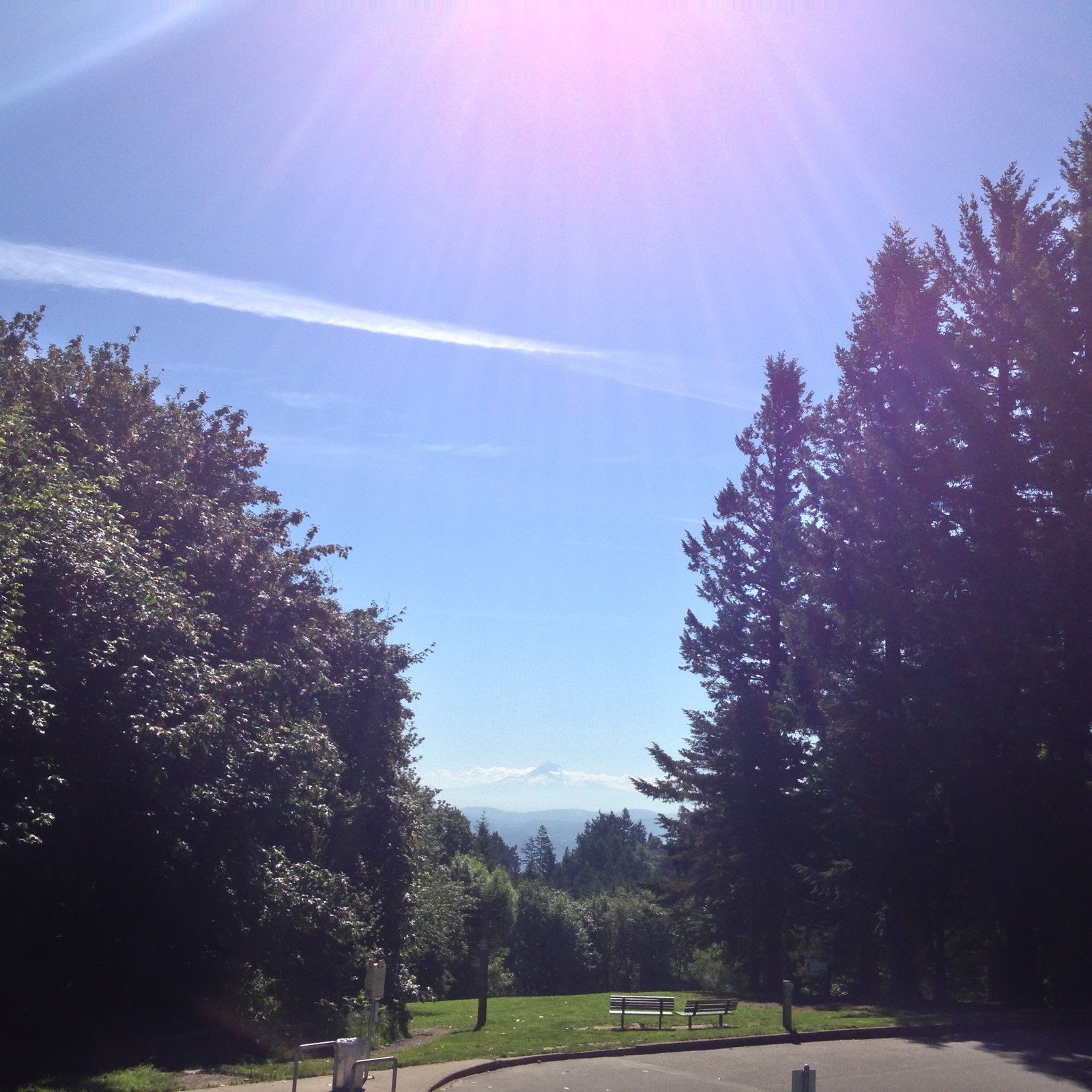 View from Council Crest toward Mt. Hood, which is visible