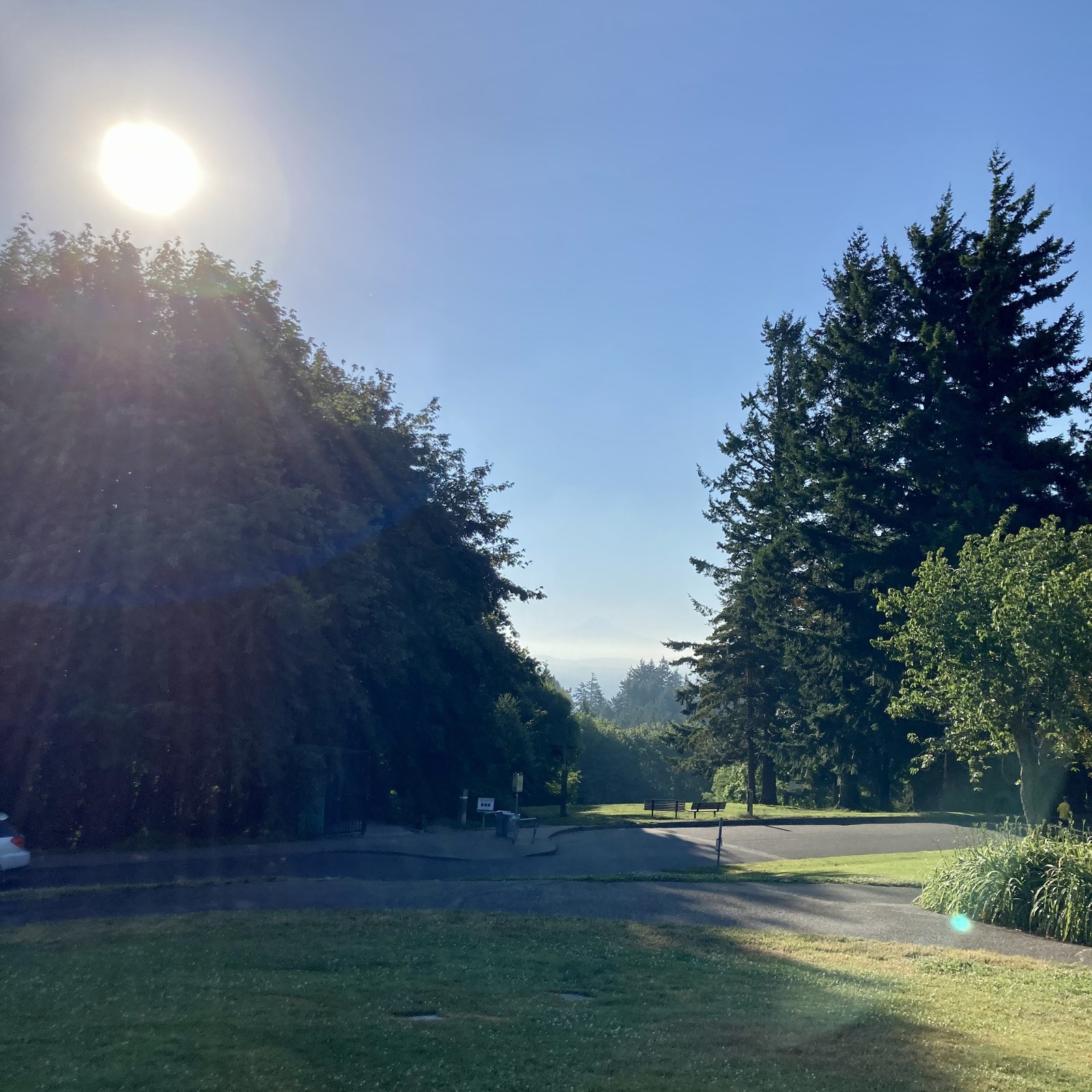 View from Council Crest toward Mt. Hood, which is visible