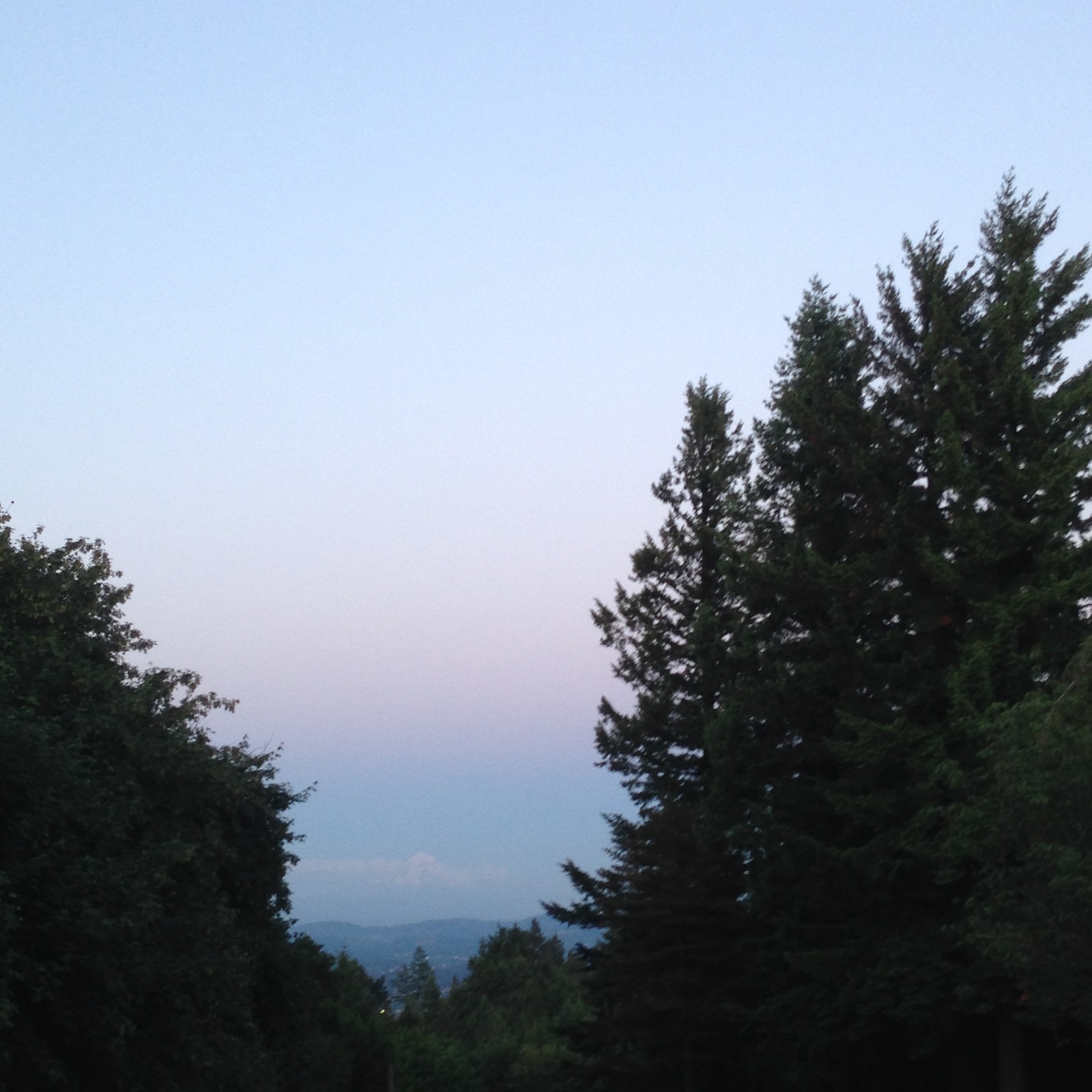 View from Council Crest toward Mt. Hood, which is visible