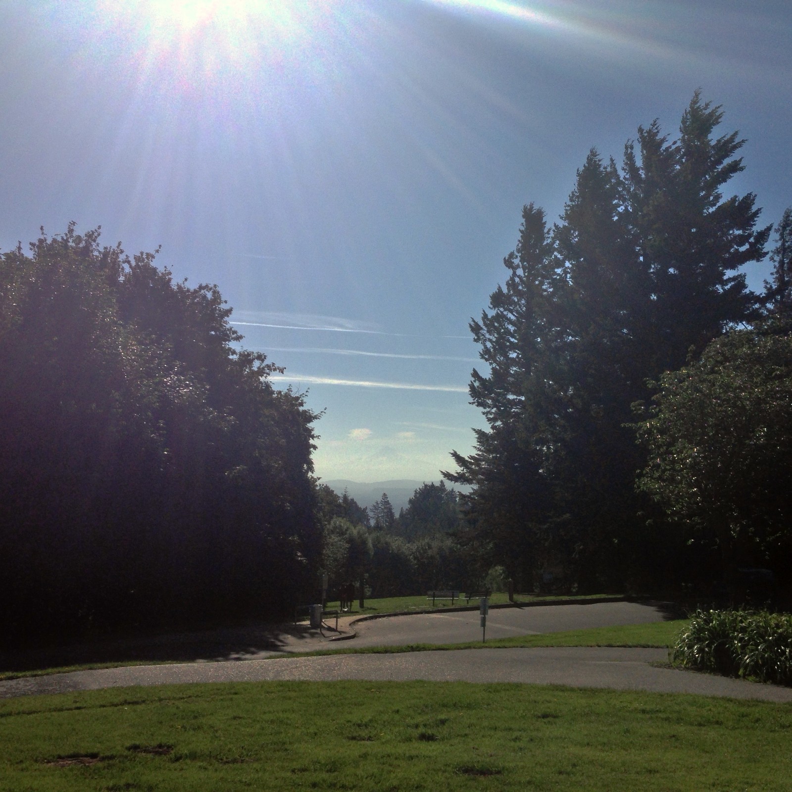 View from Council Crest toward Mt. Hood, which is visible