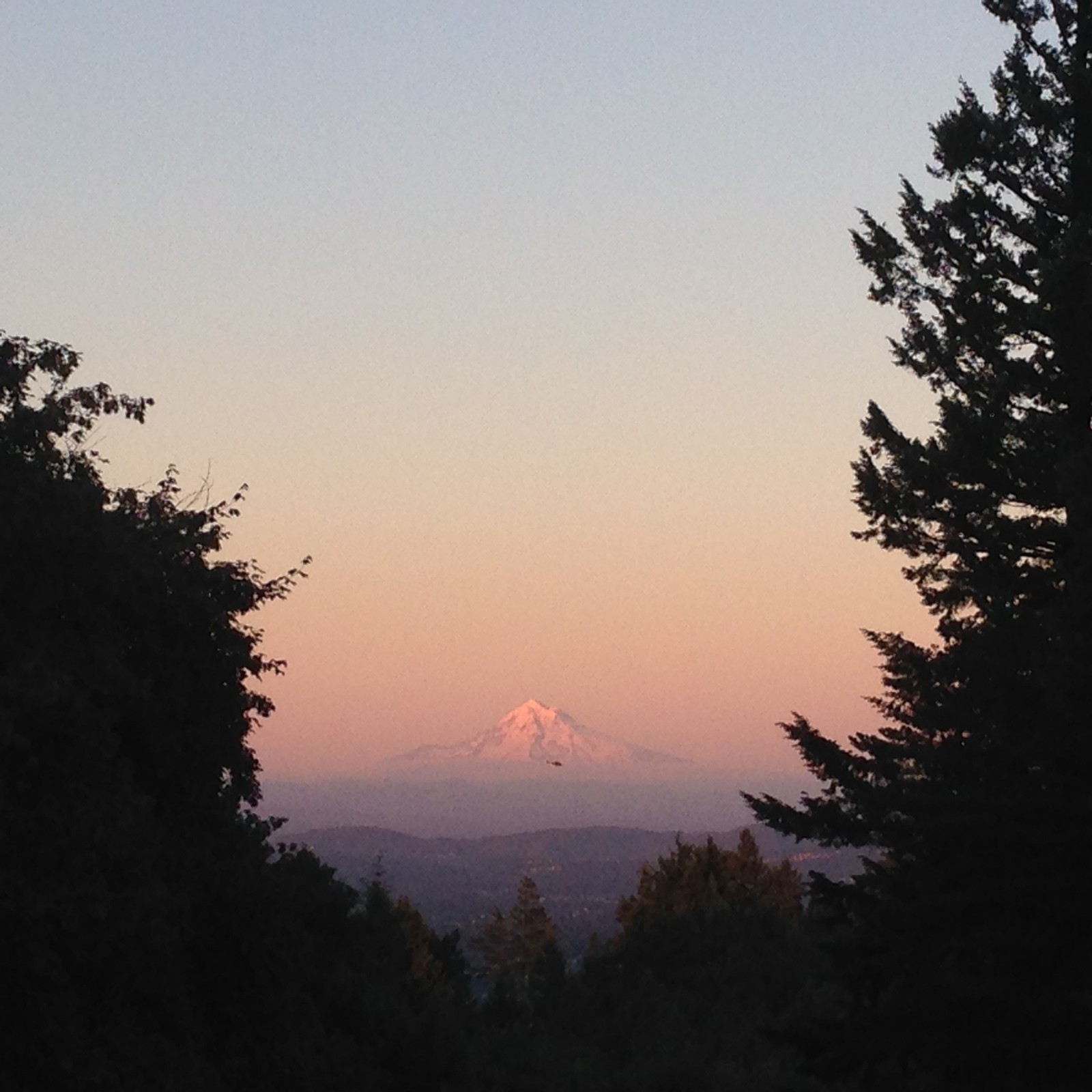View from Council Crest toward Mt. Hood, which is visible