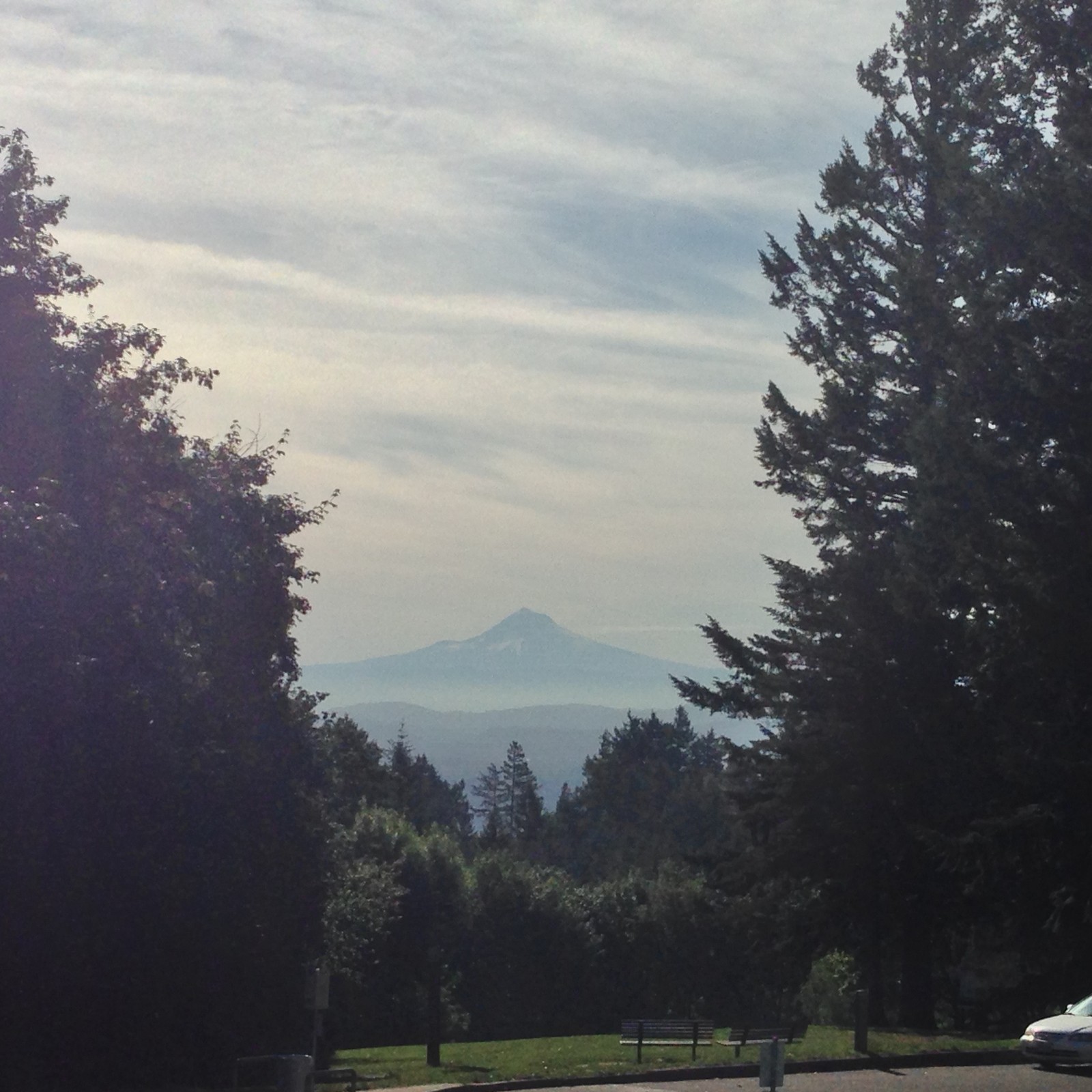 View from Council Crest toward Mt. Hood, which is visible
