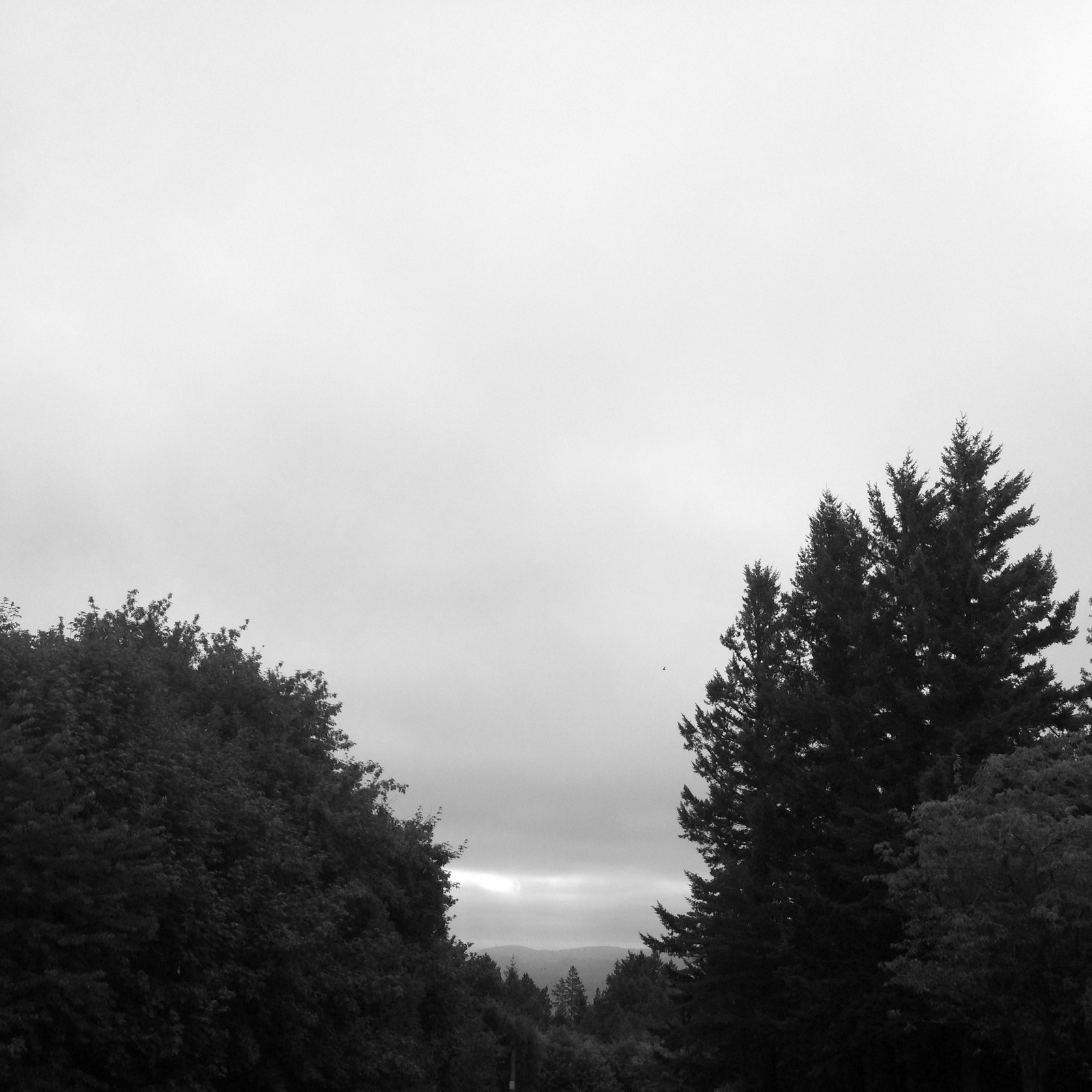 View from Council Crest toward Mt. Hood, which is NOT visible