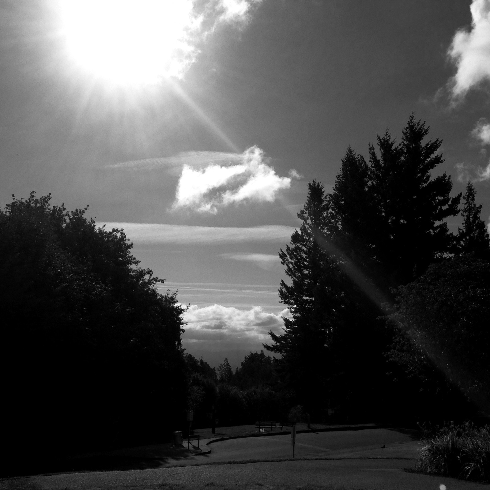 View from Council Crest toward Mt. Hood, which is NOT visible