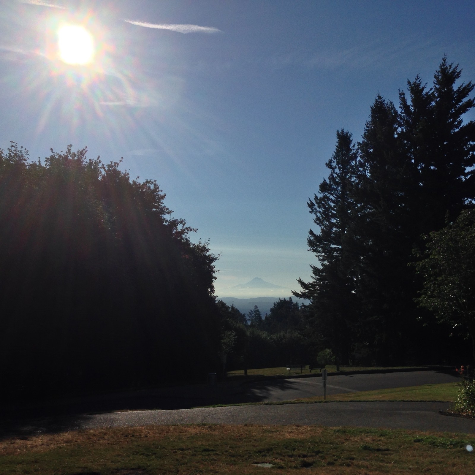 View from Council Crest toward Mt. Hood, which is visible