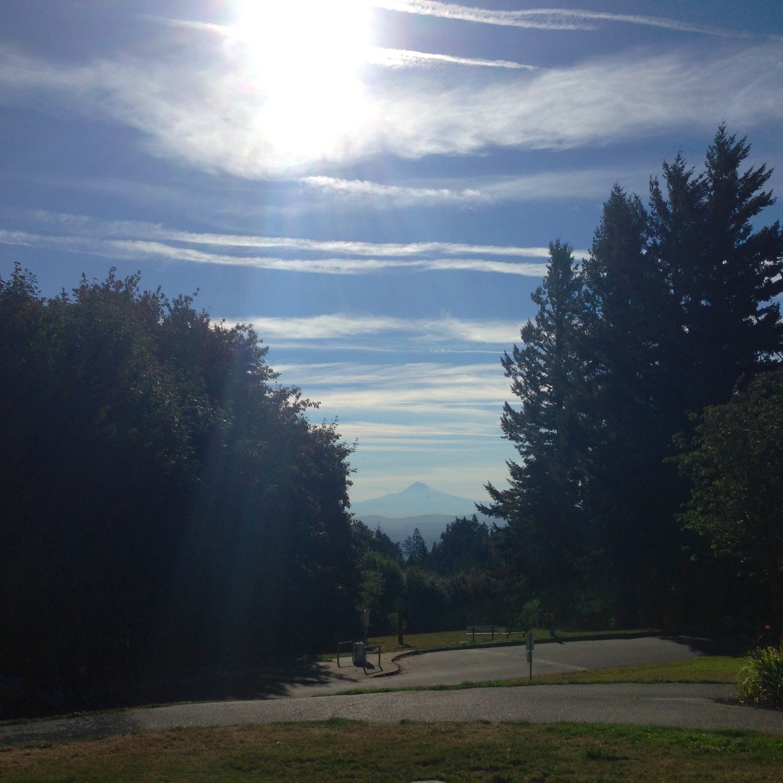 View from Council Crest toward Mt. Hood, which is visible