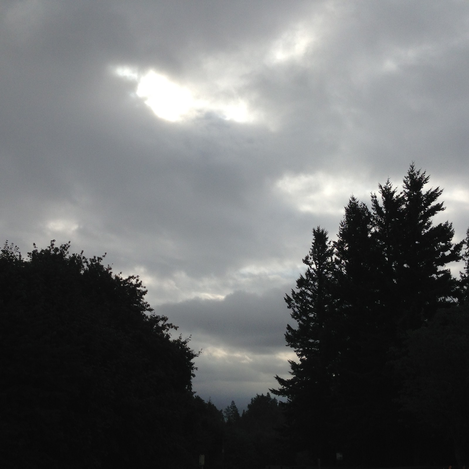 View from Council Crest toward Mt. Hood, which is NOT visible