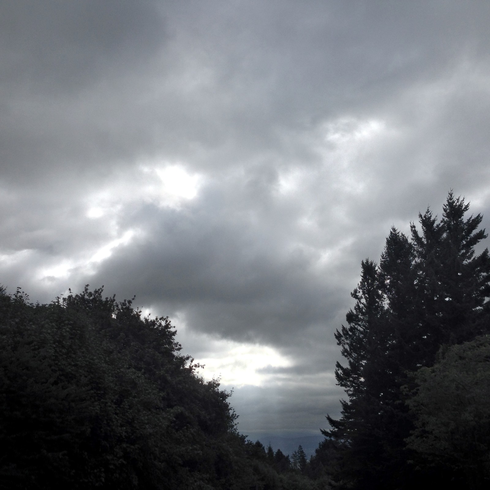 View from Council Crest toward Mt. Hood, which is NOT visible