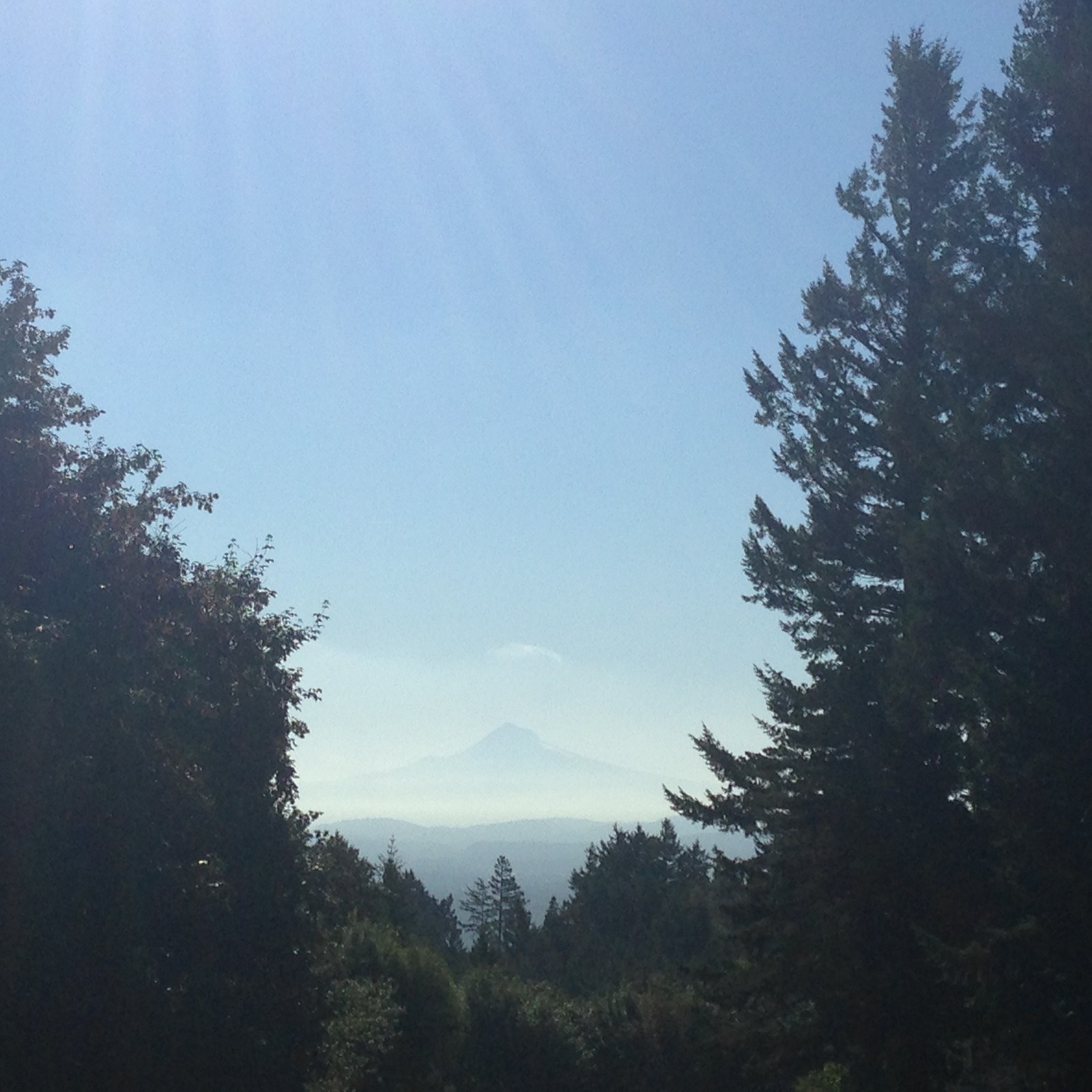 View from Council Crest toward Mt. Hood, which is visible