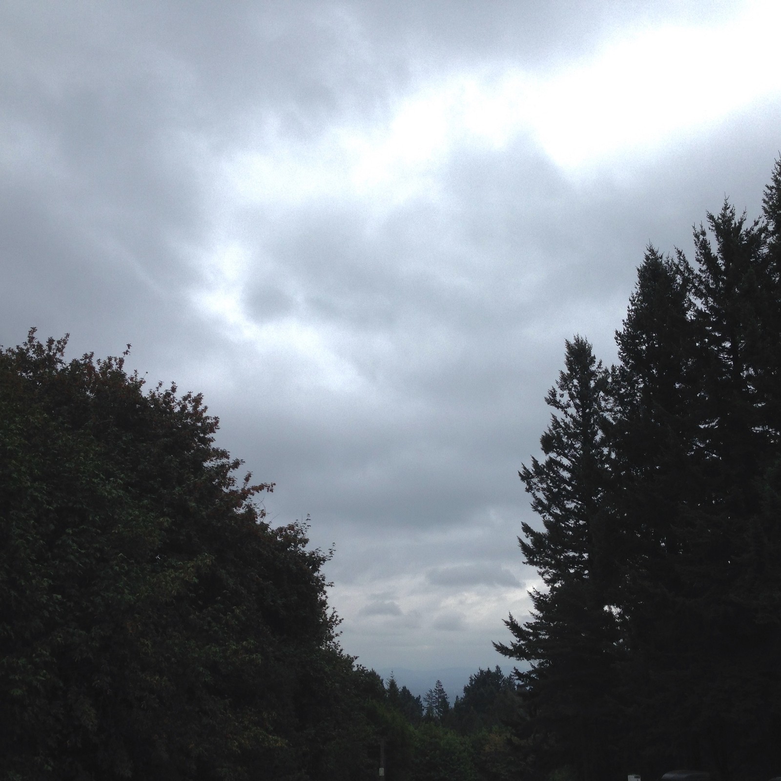 View from Council Crest toward Mt. Hood, which is NOT visible