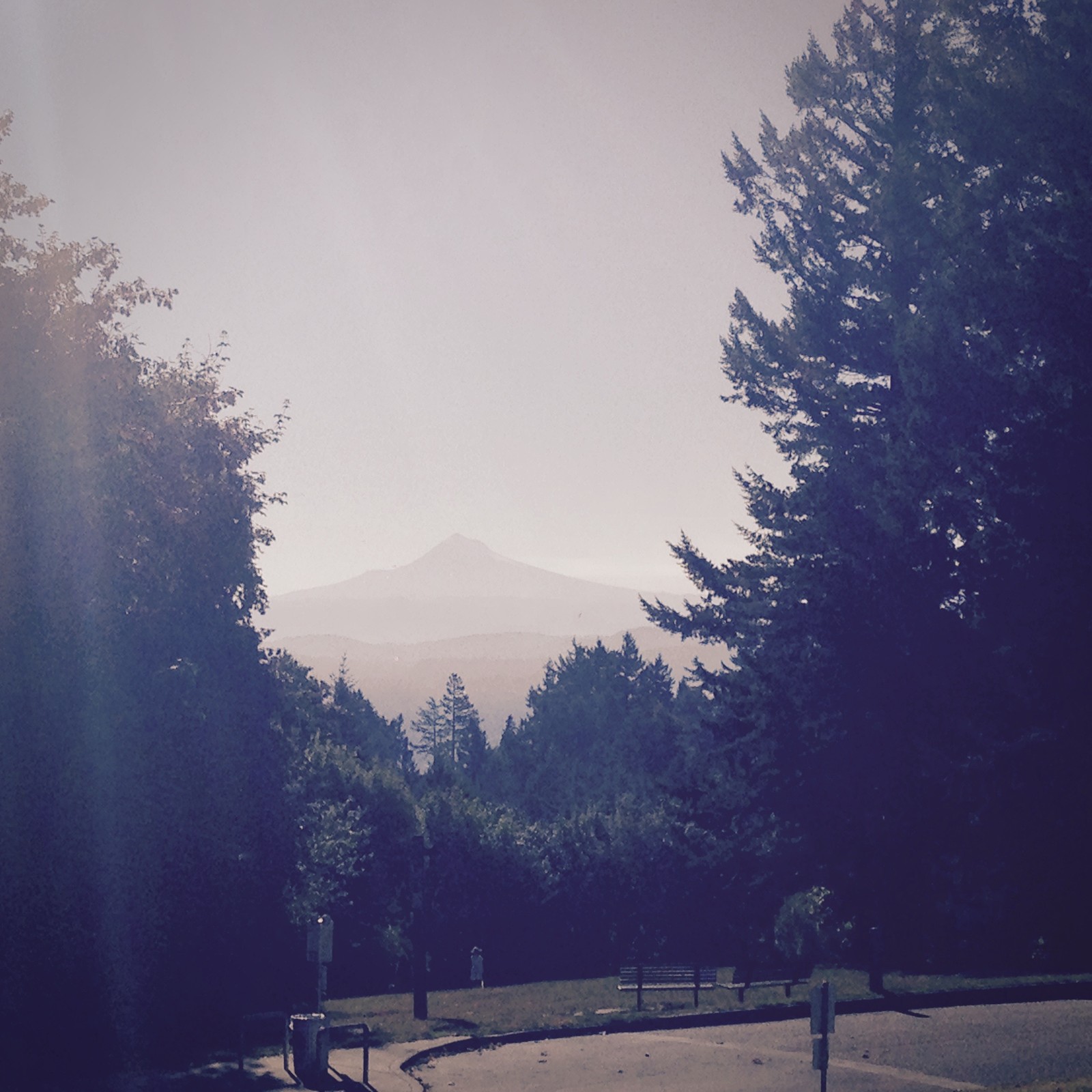 View from Council Crest toward Mt. Hood, which is visible