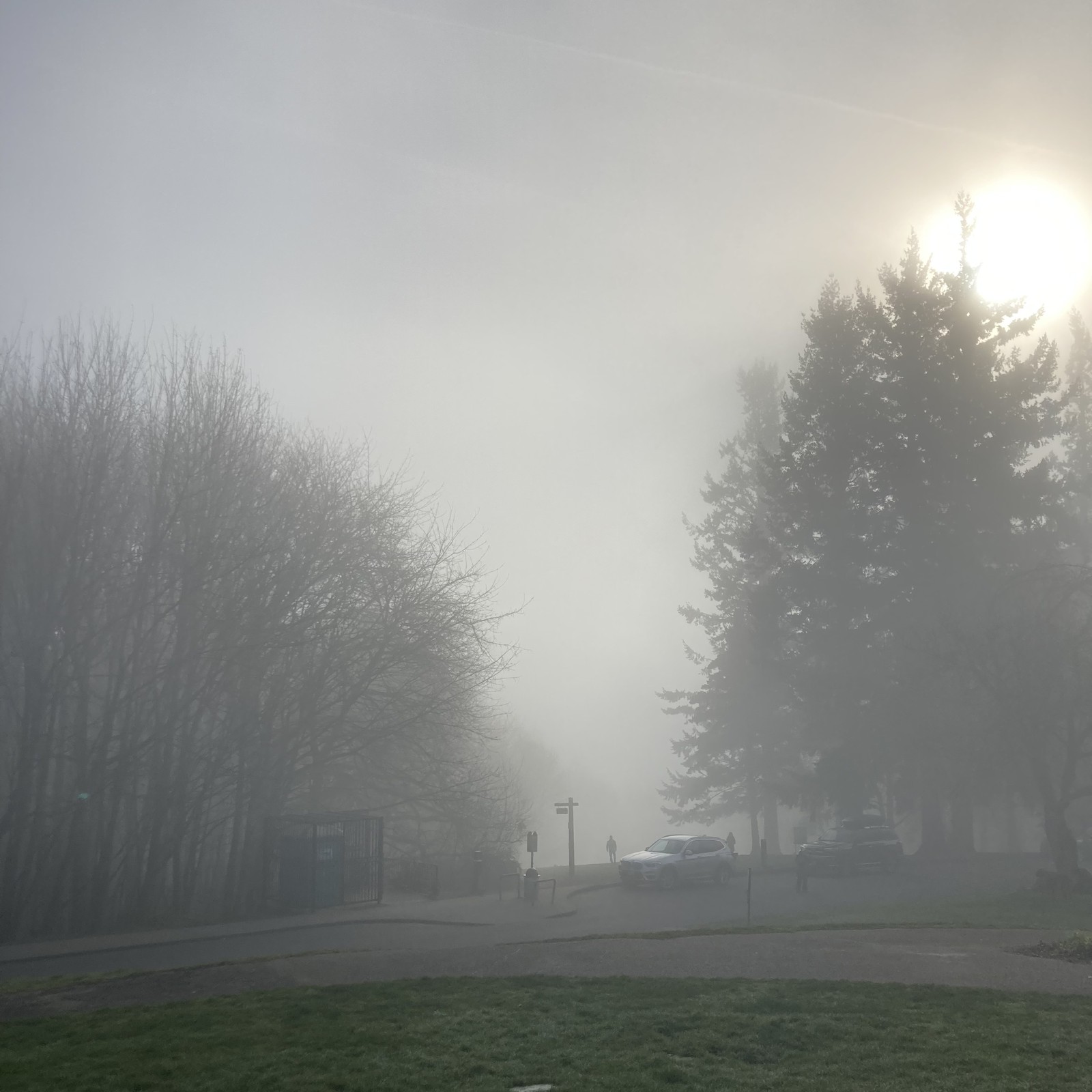 View from Council Crest toward Mt. Hood, which is NOT visible