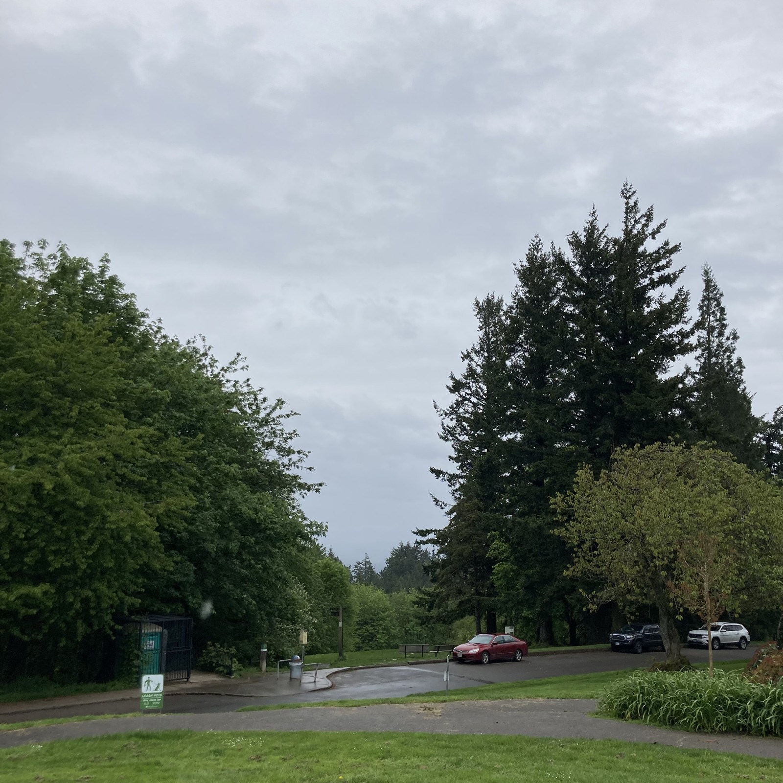 View from Council Crest toward Mt. Hood, which is NOT visible