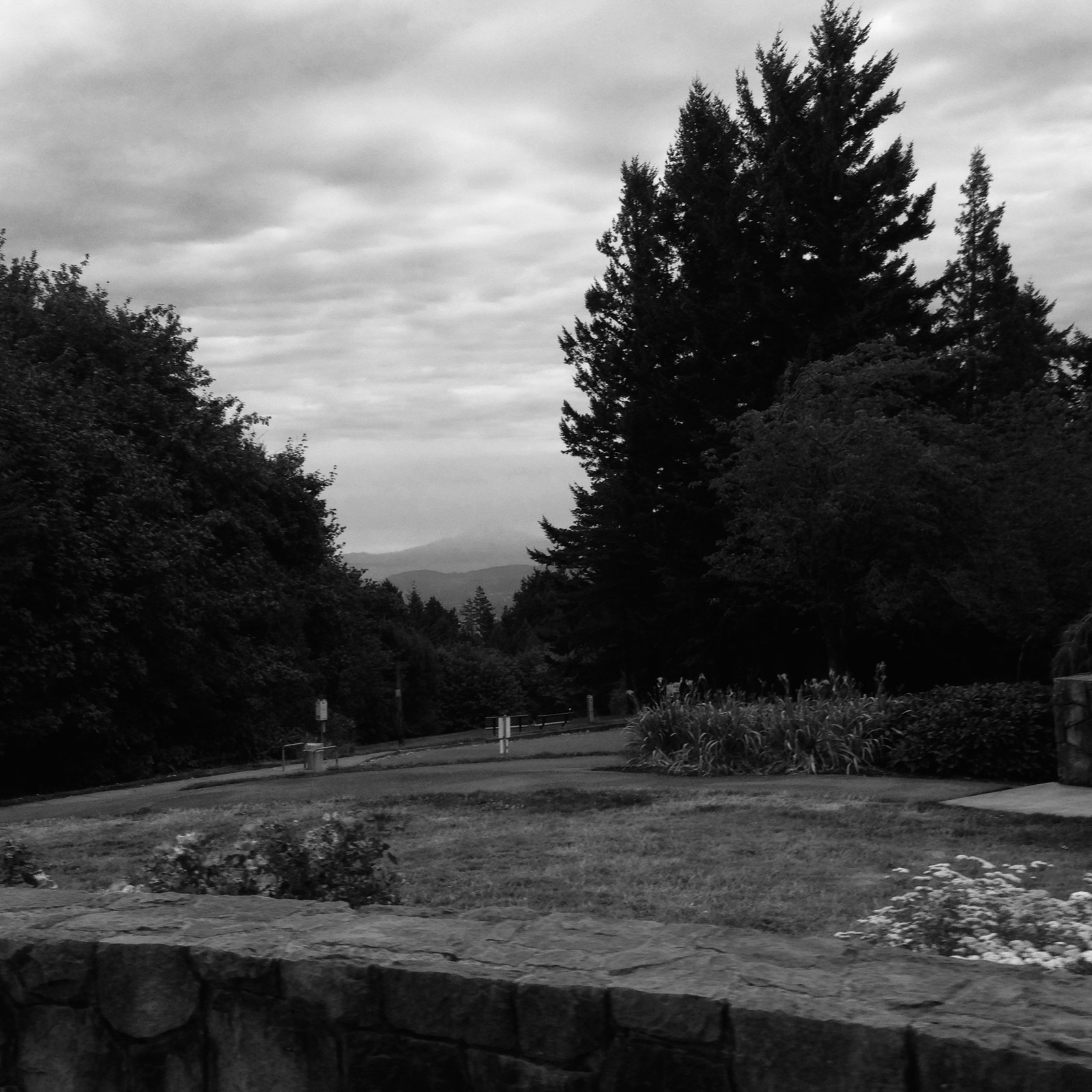 View from Council Crest toward Mt. Hood, which is visible