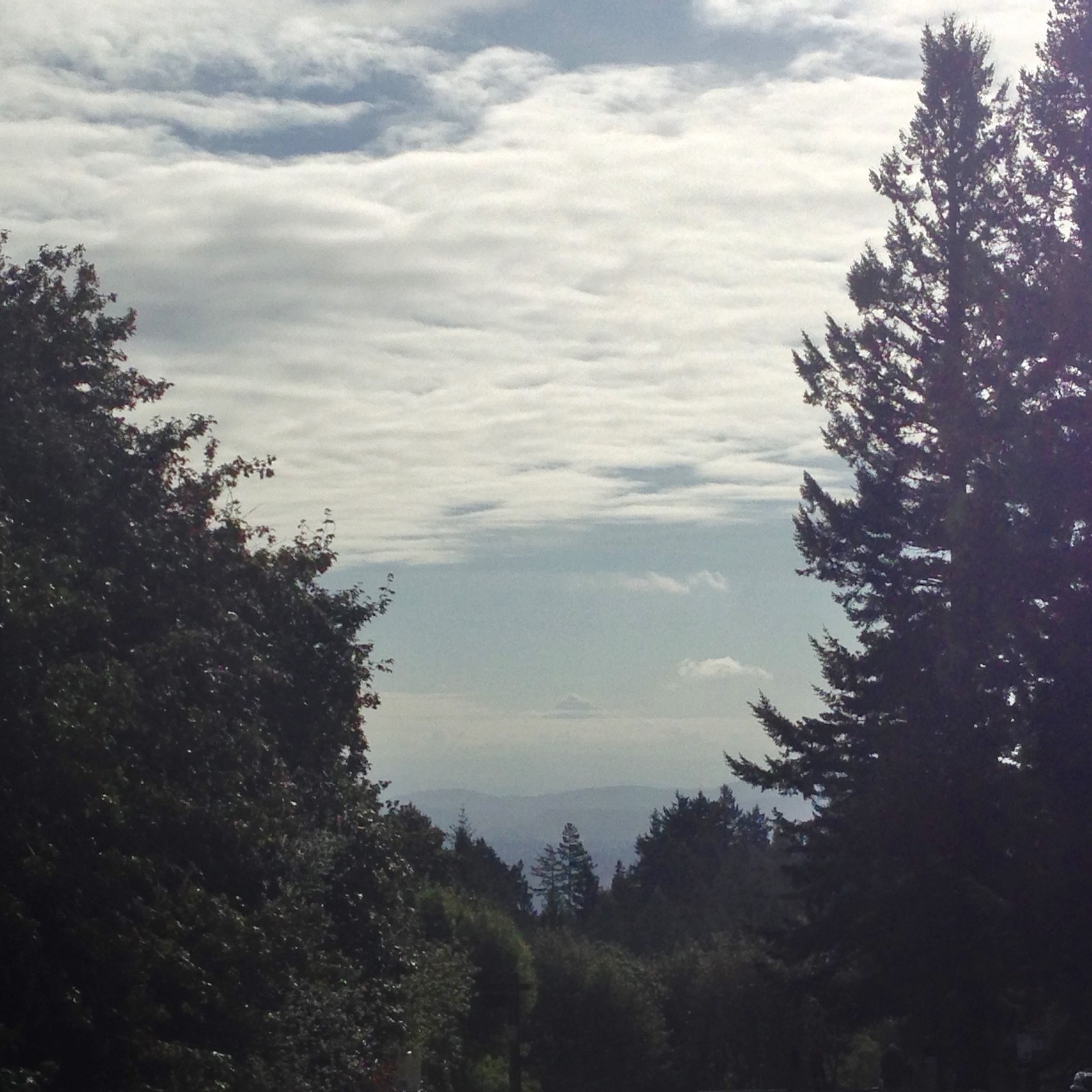 View from Council Crest toward Mt. Hood, which is visible