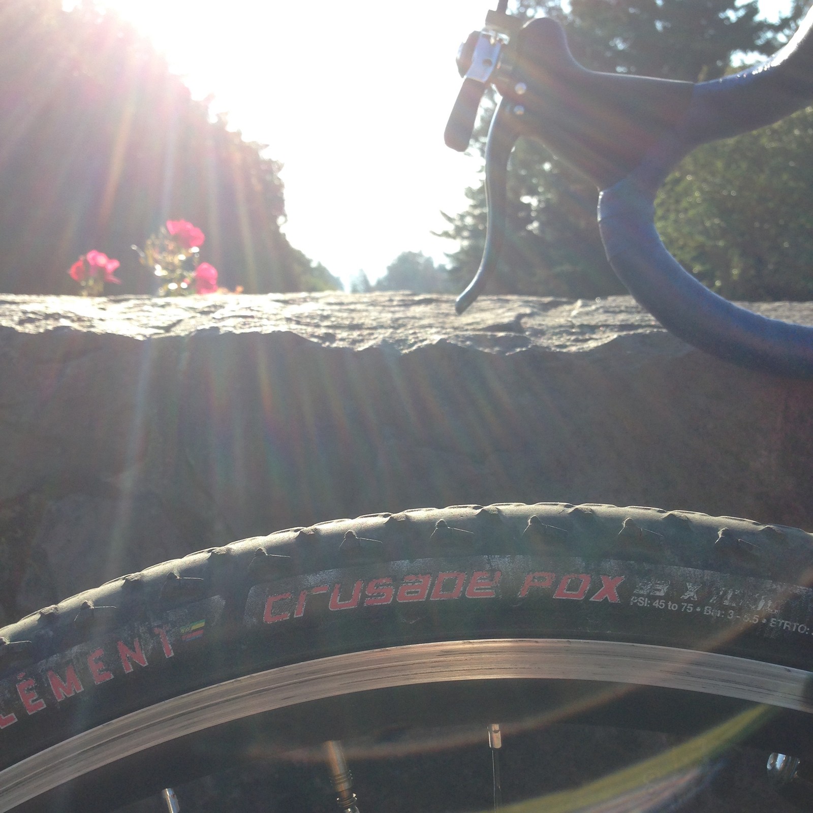 View from Council Crest toward Mt. Hood, which is NOT visible