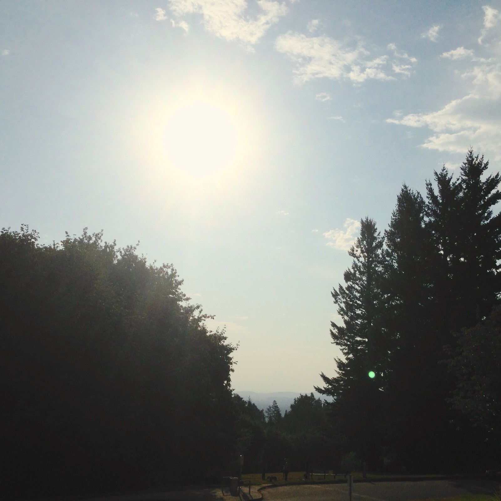 View from Council Crest toward Mt. Hood, which is NOT visible