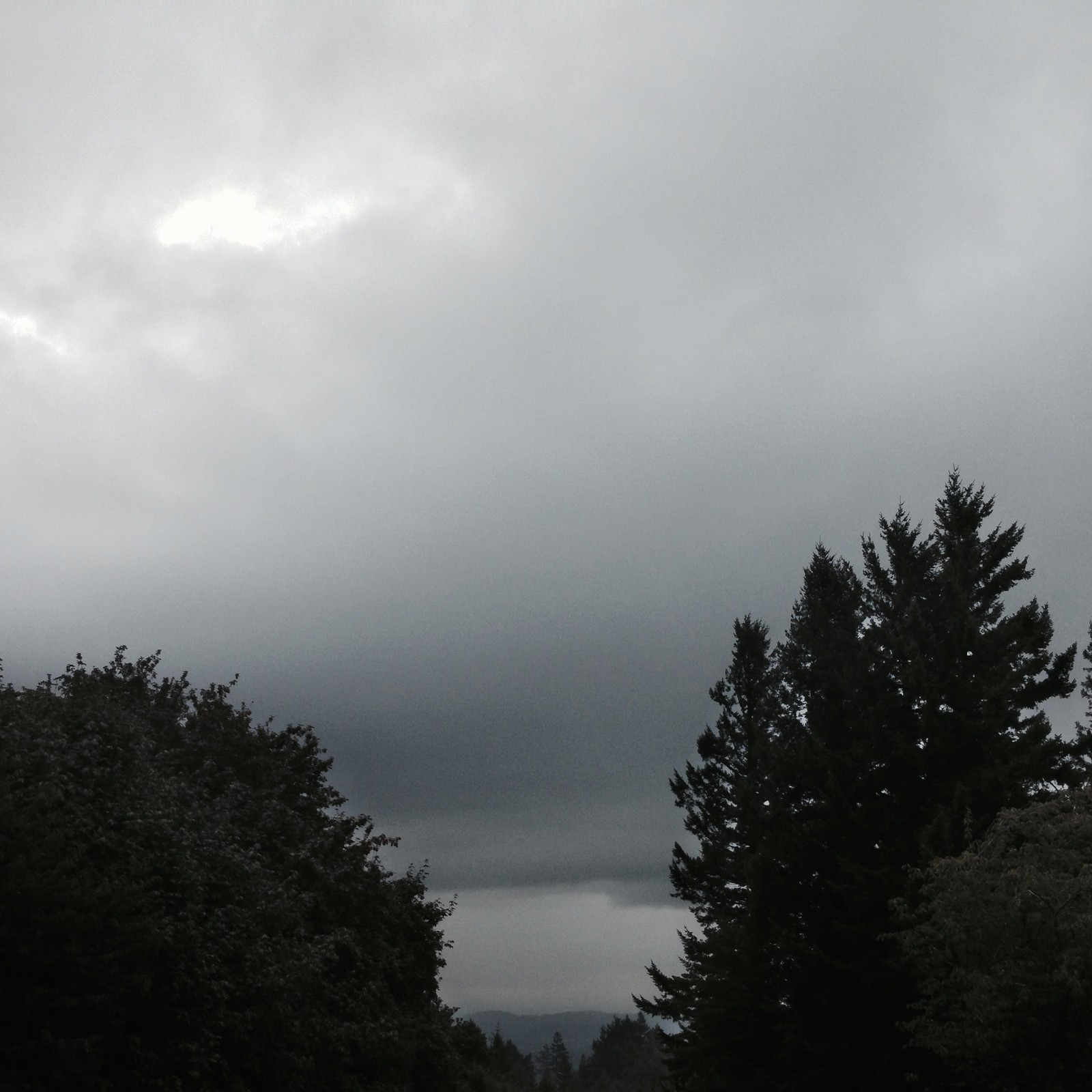 View from Council Crest toward Mt. Hood, which is NOT visible