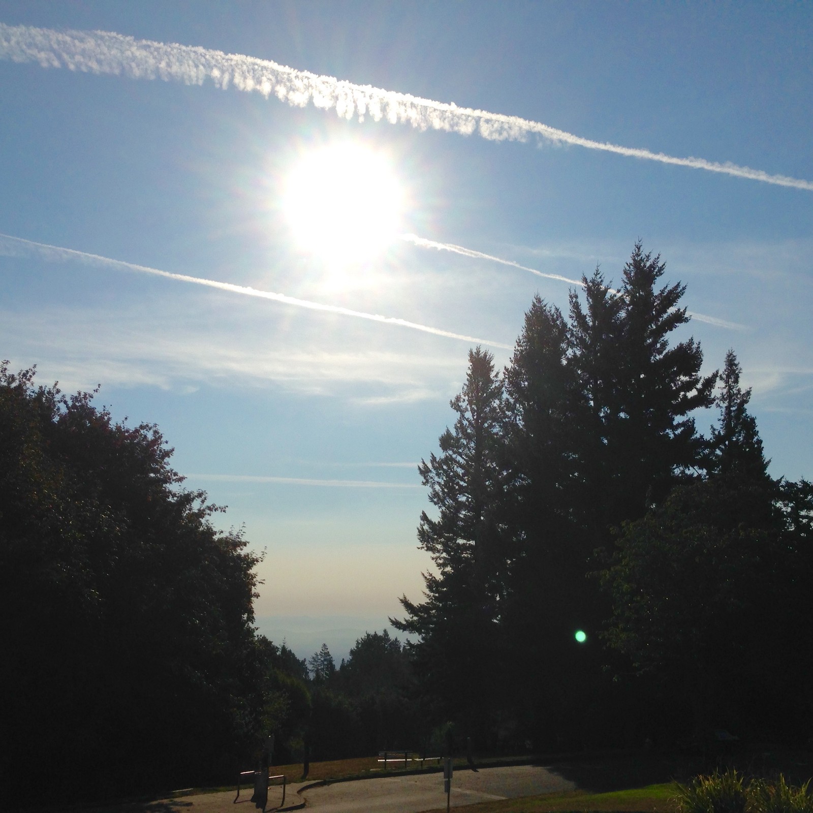 View from Council Crest toward Mt. Hood, which is NOT visible