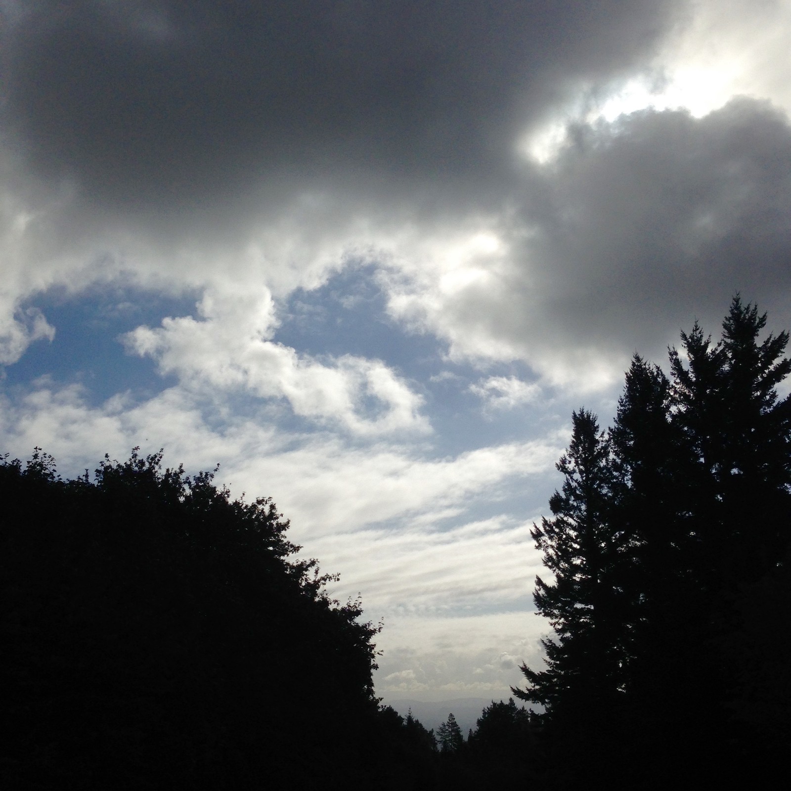 View from Council Crest toward Mt. Hood, which is NOT visible