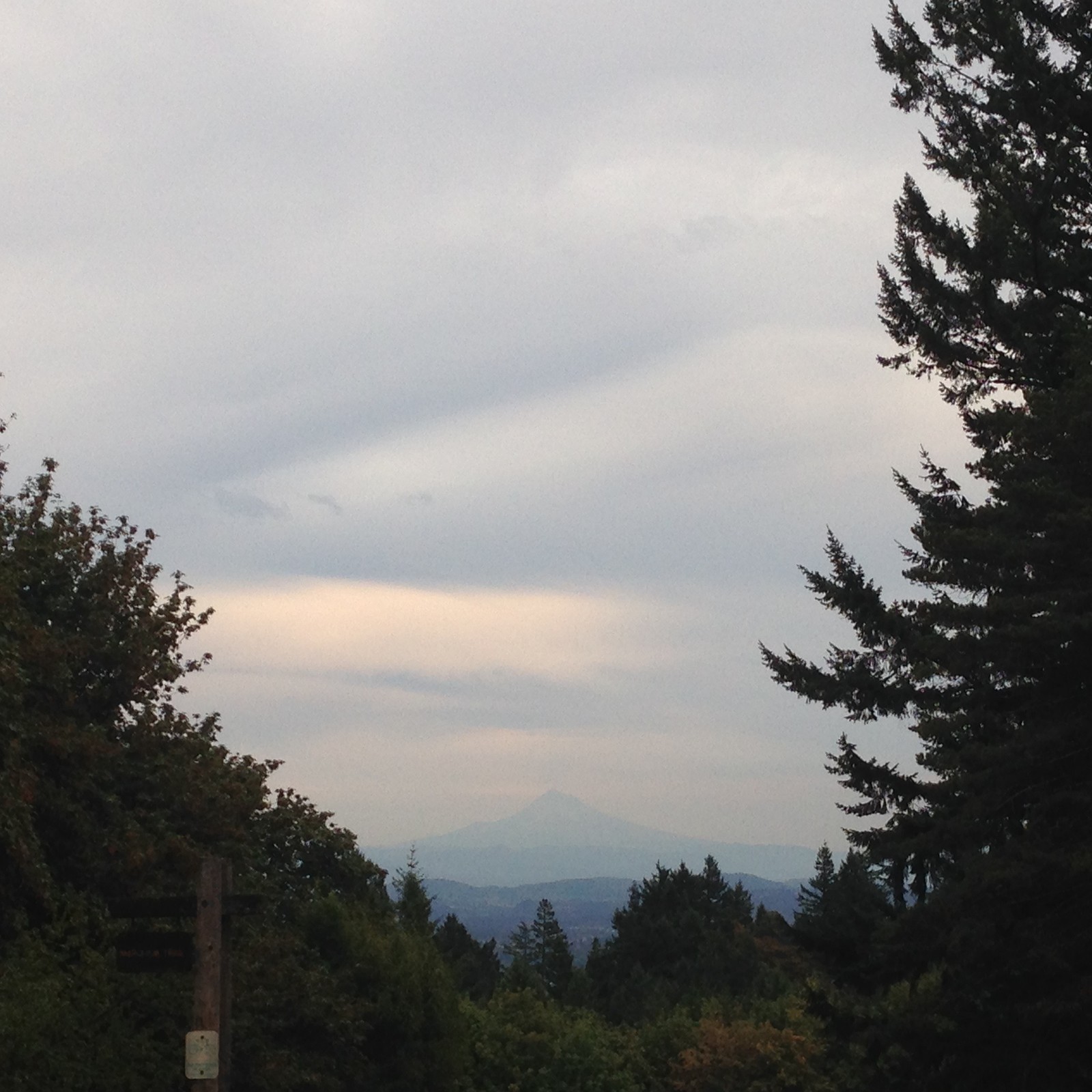 View from Council Crest toward Mt. Hood, which is visible