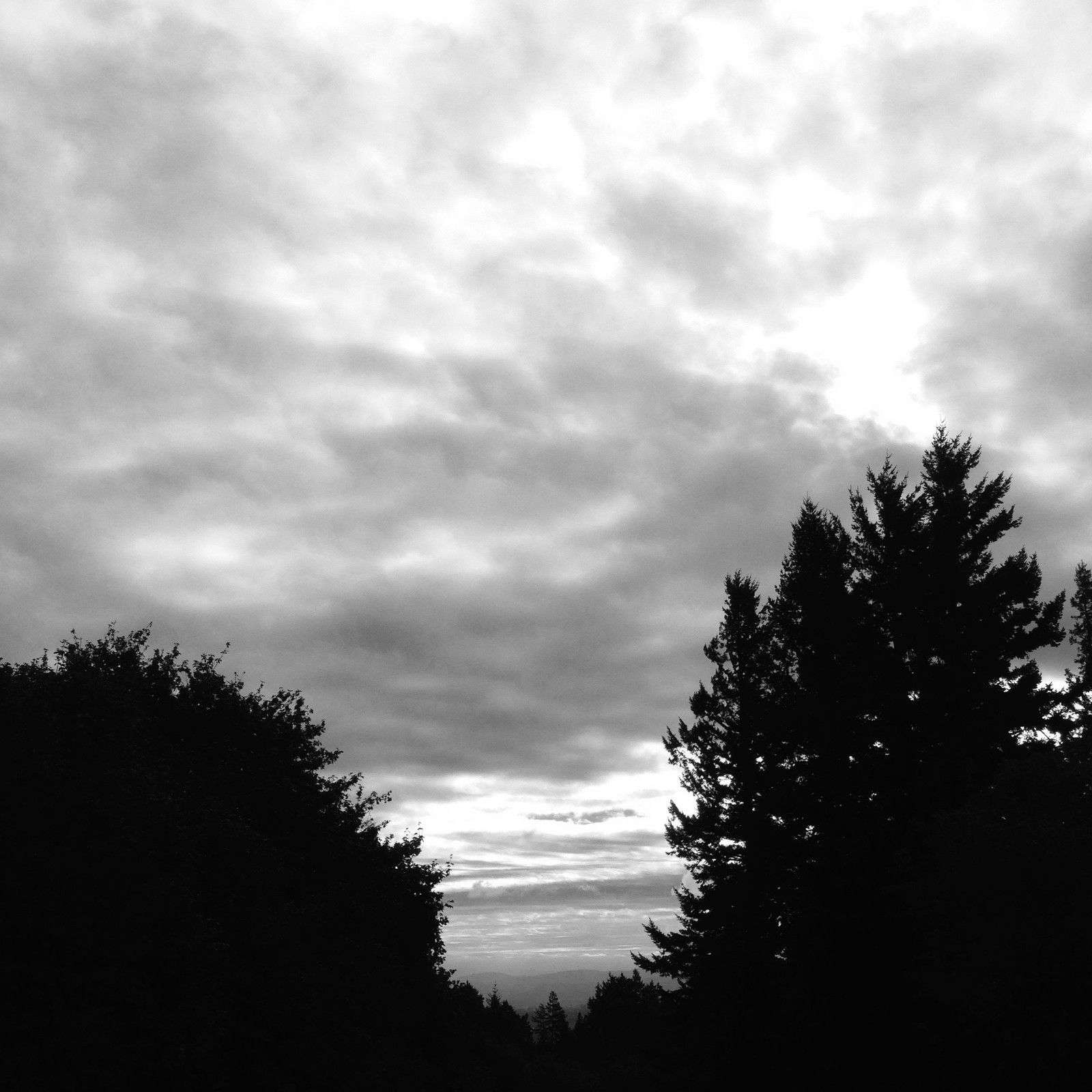 View from Council Crest toward Mt. Hood, which is NOT visible